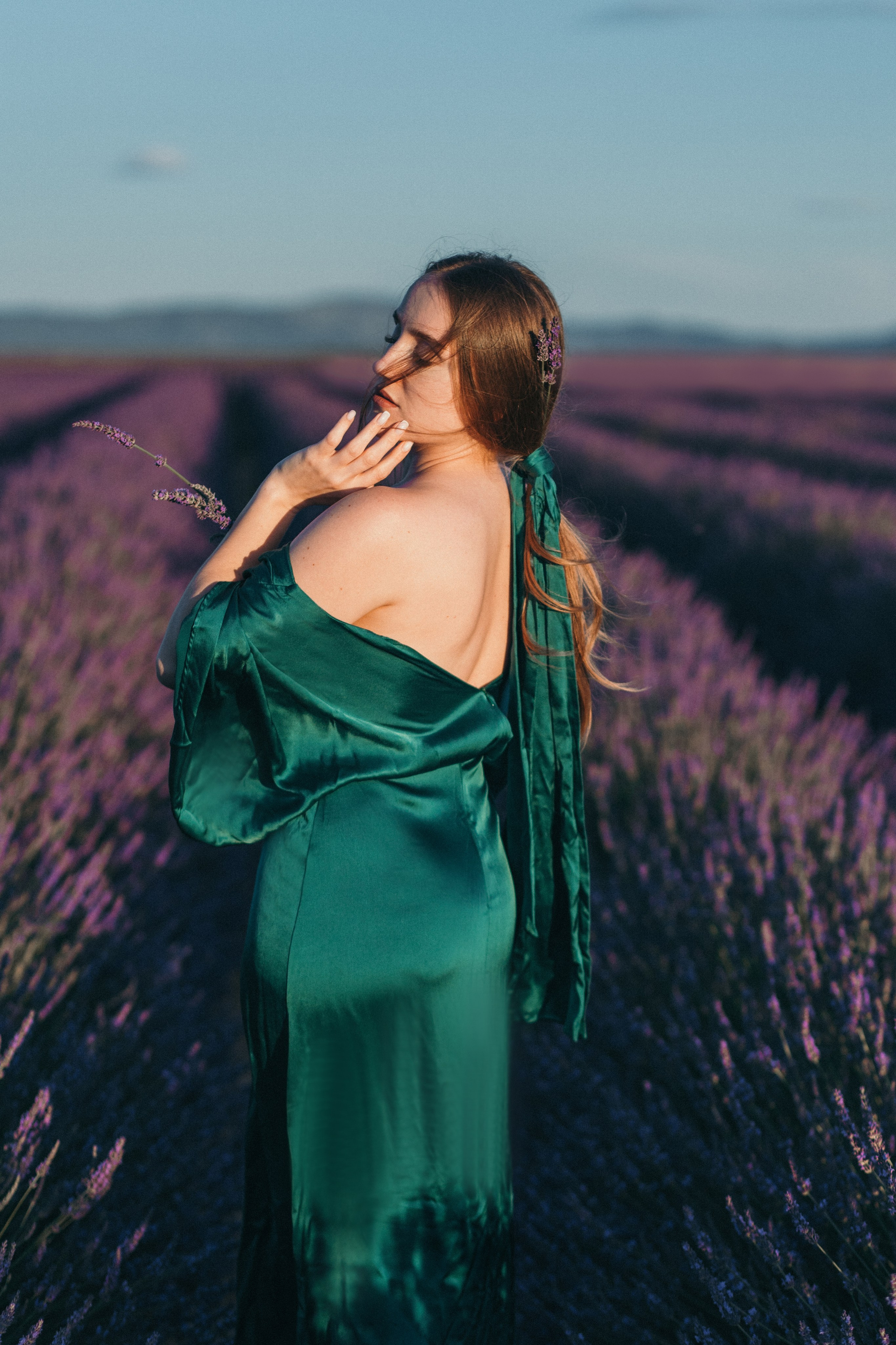 Lavendel. Kristina Podolyakova - Fotografin in Ludwigsburg