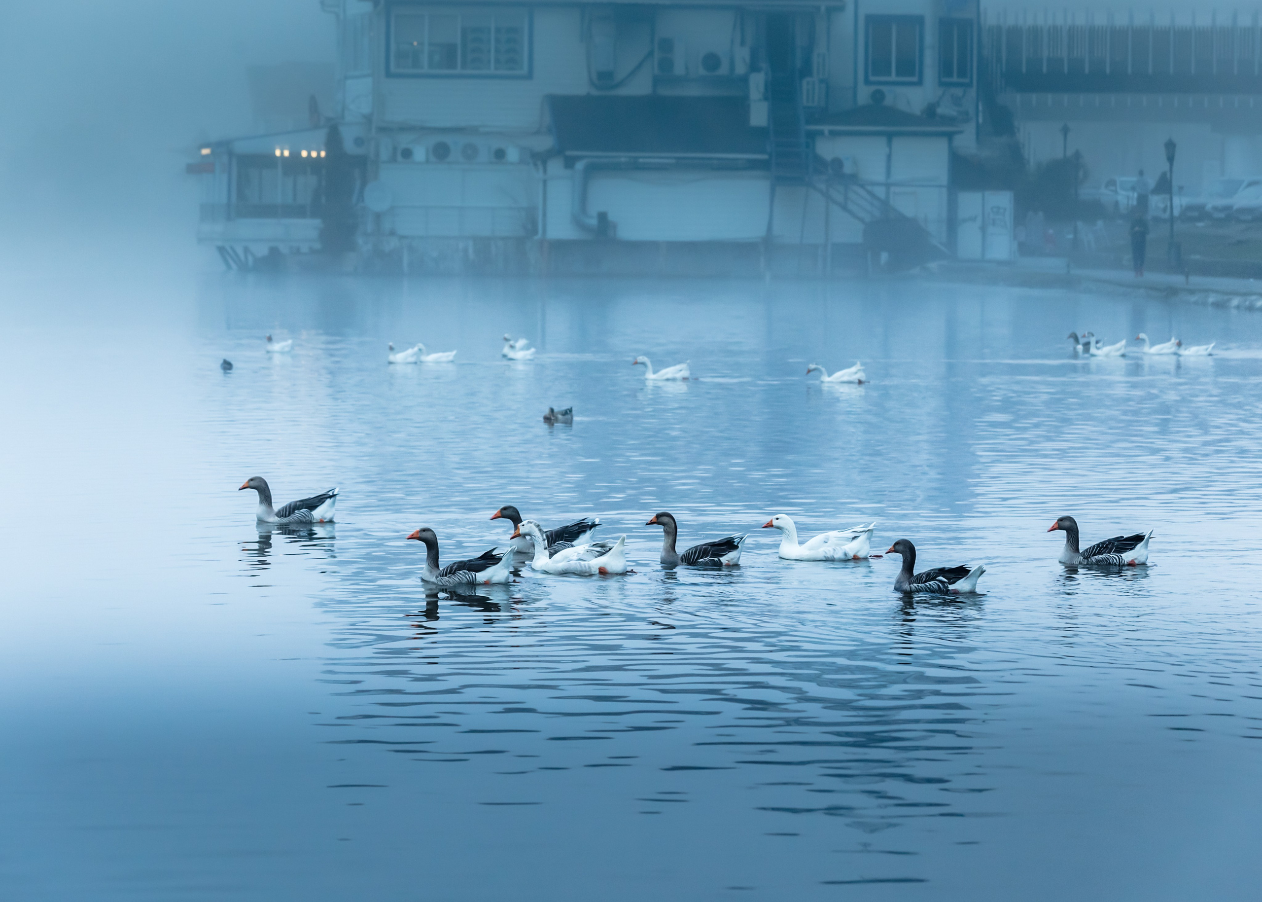 Urban. PHOTOSTORYNIKA