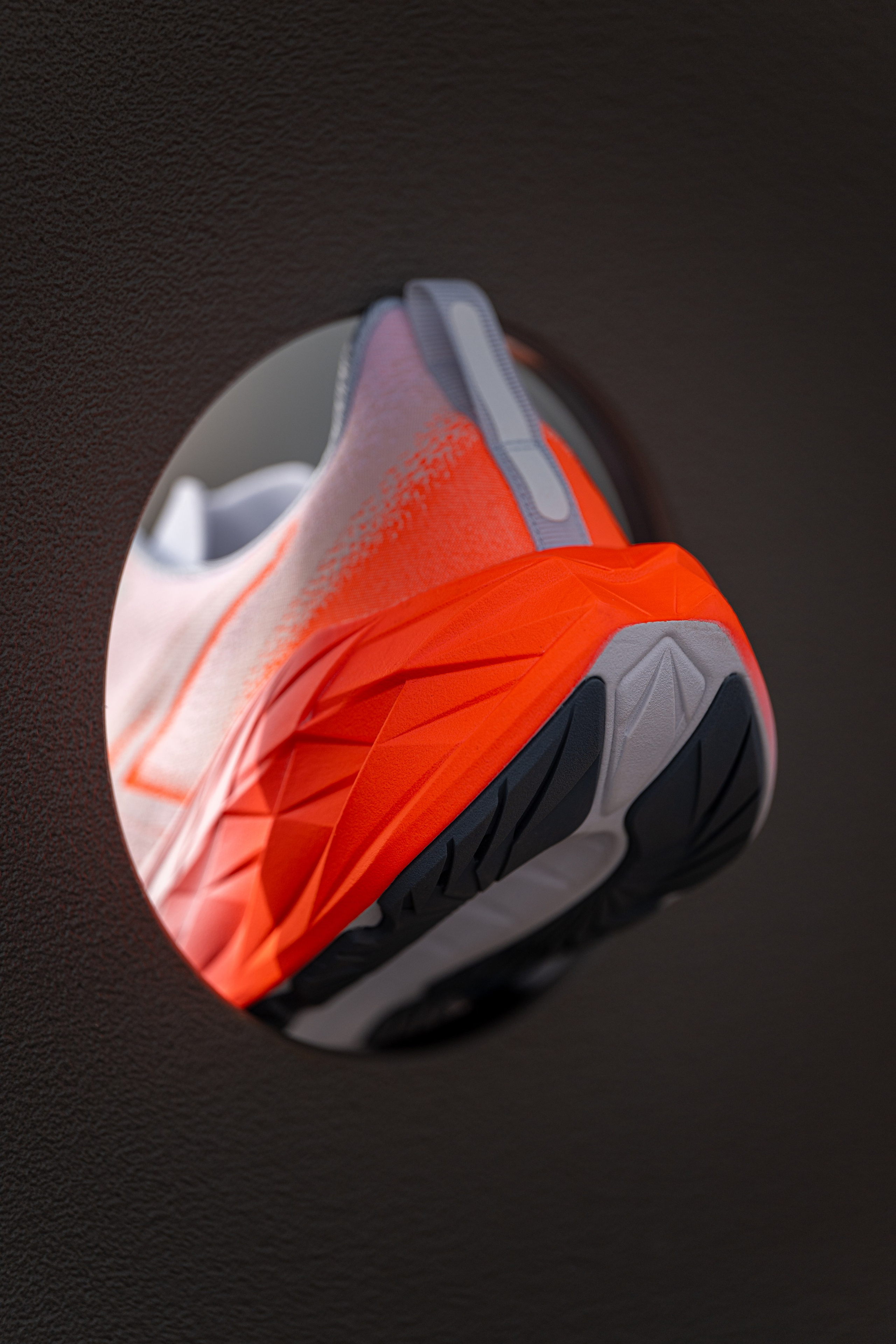 Контент. Фотографы Дарья и Дмитрий Арсентьевы