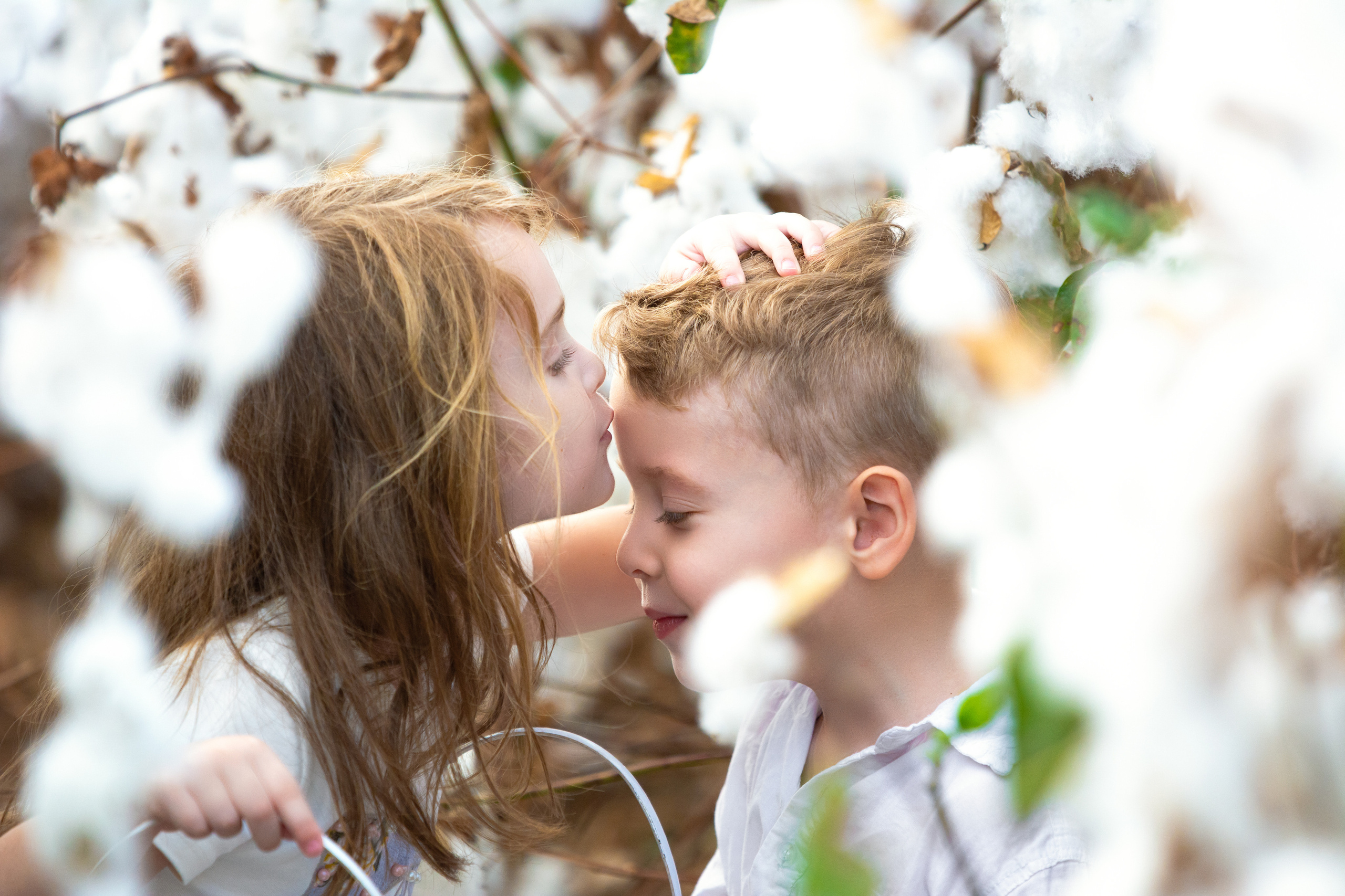 Romantic Friendship. Time machine Studio