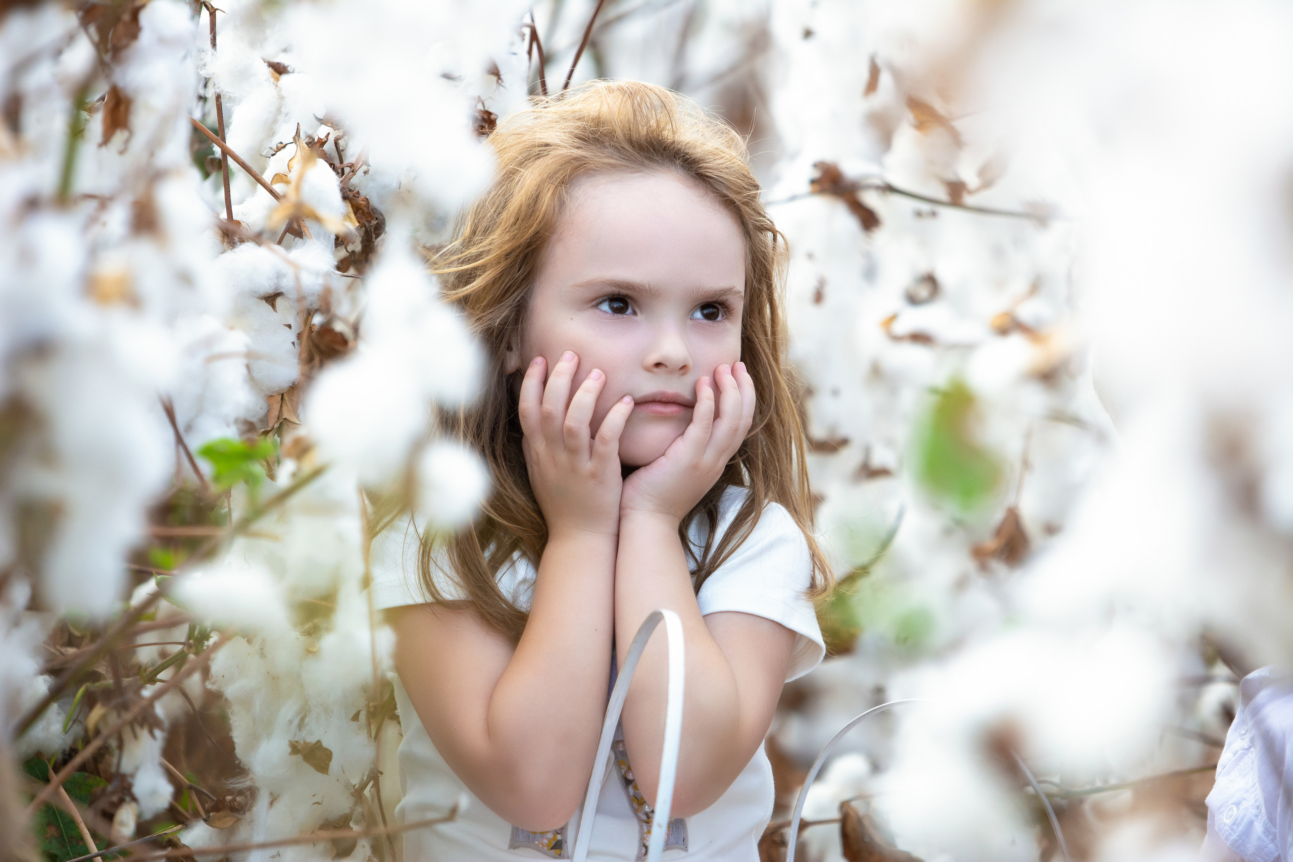 Romantic Friendship. Time machine Studio