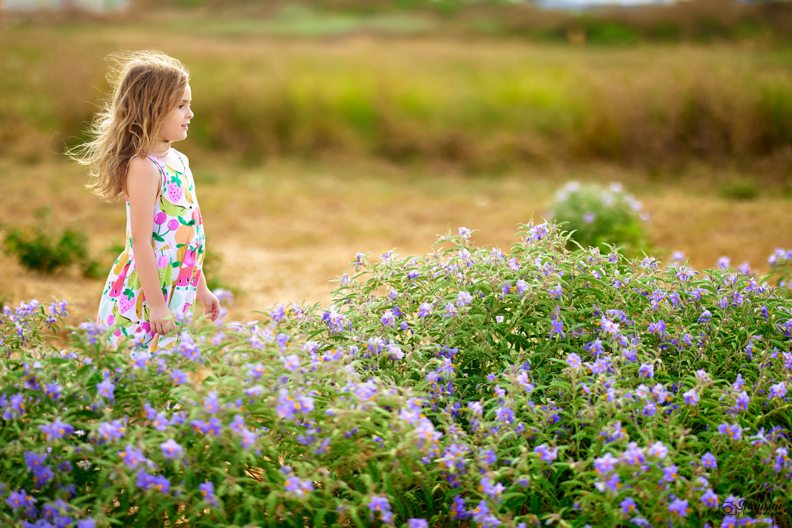 Anna. Time machine Studio