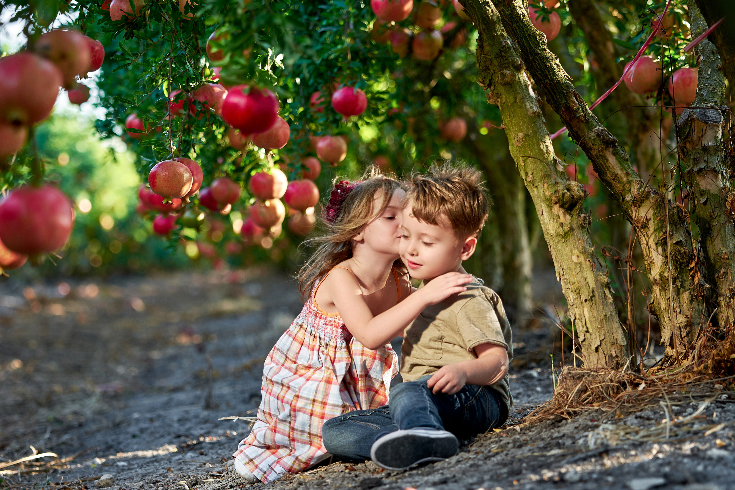 Romantic Friendship. Time machine Studio