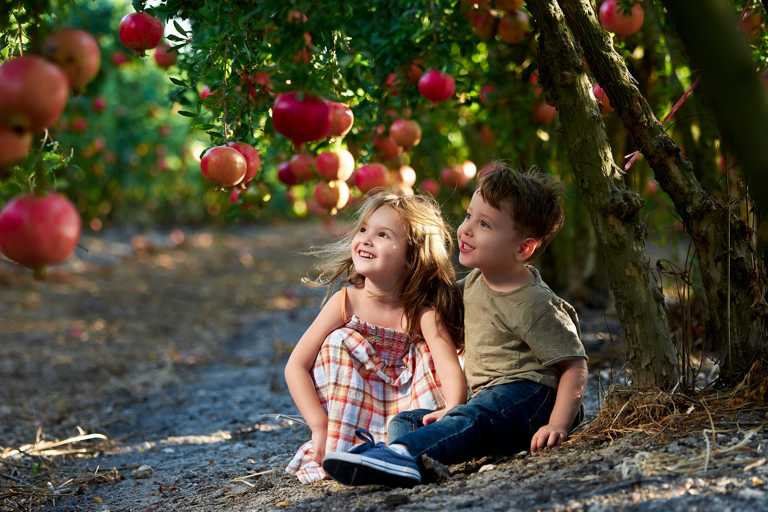 Romantic Friendship. Time machine Studio