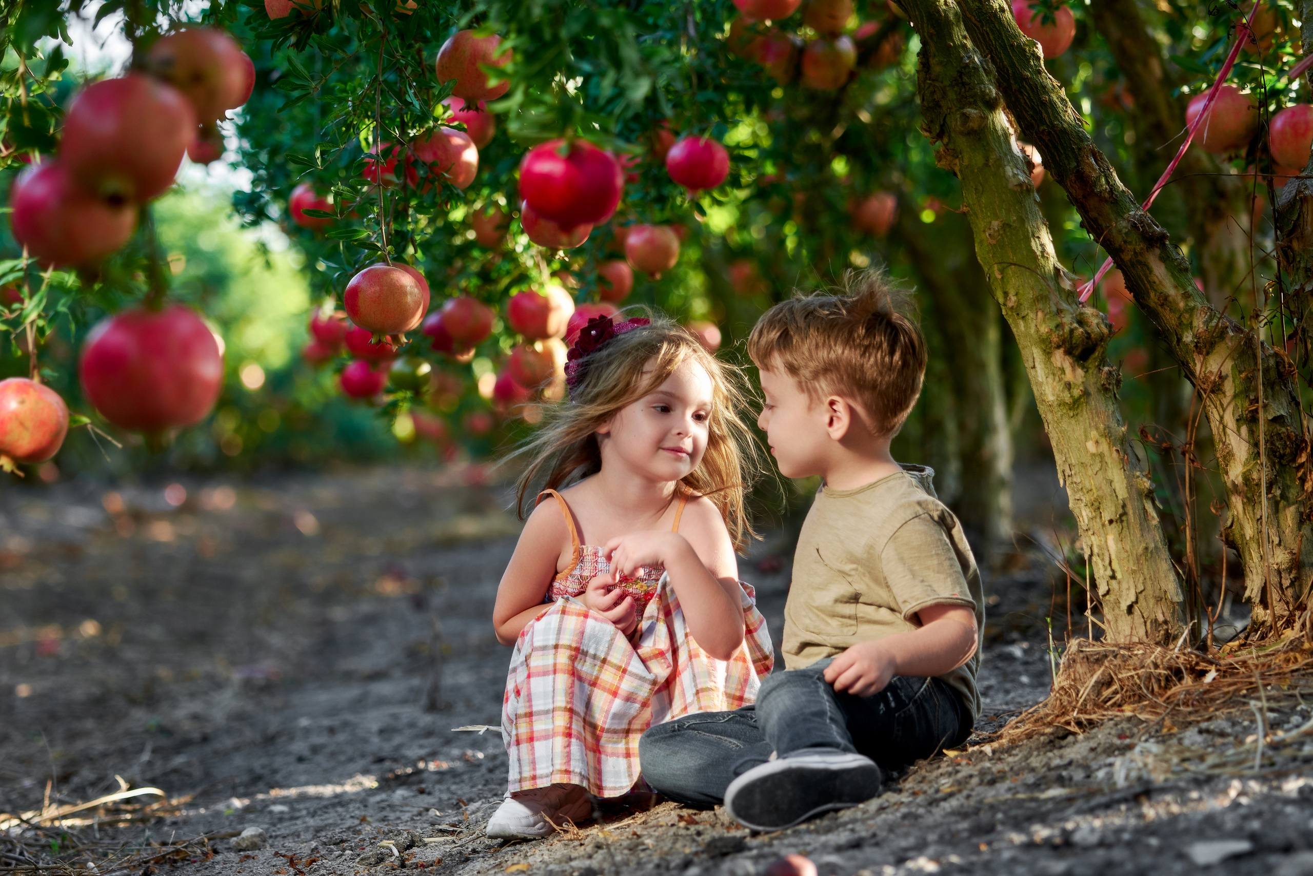 Romantic Friendship. Time machine Studio