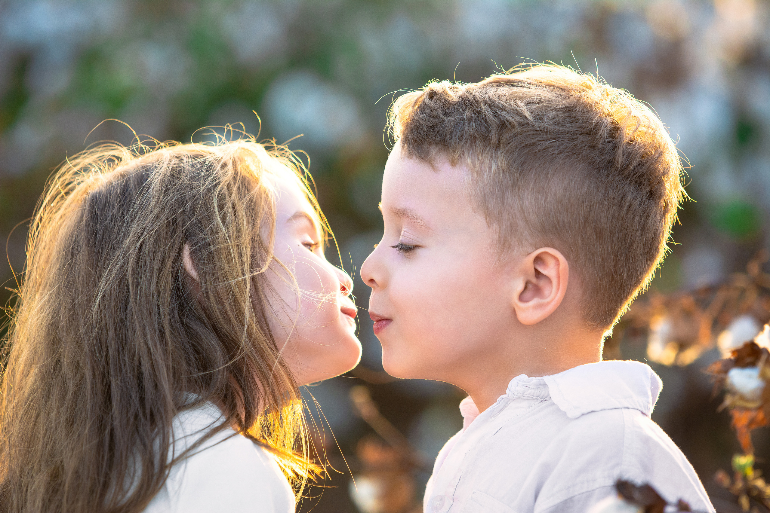 Romantic Friendship. Time machine Studio