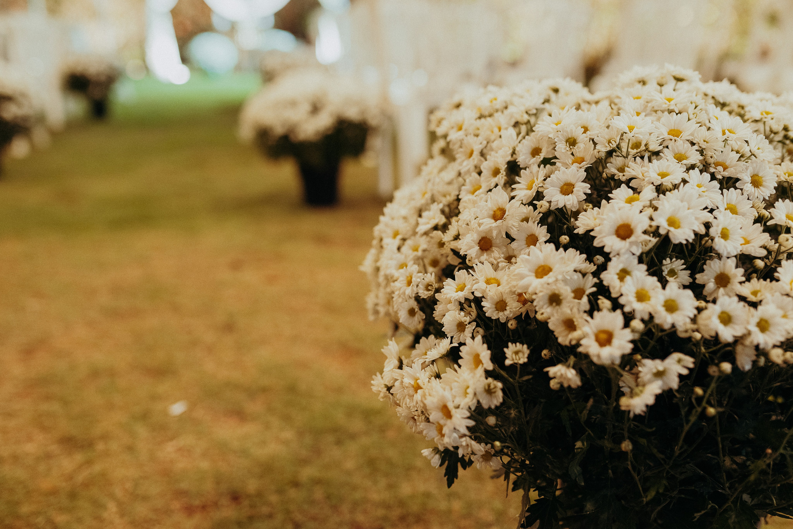 Casamento Estéfani e Jean. Kaiky Oliveira — Fotógrafo de Casamentos, retratos, gestantes e de sentimentos!