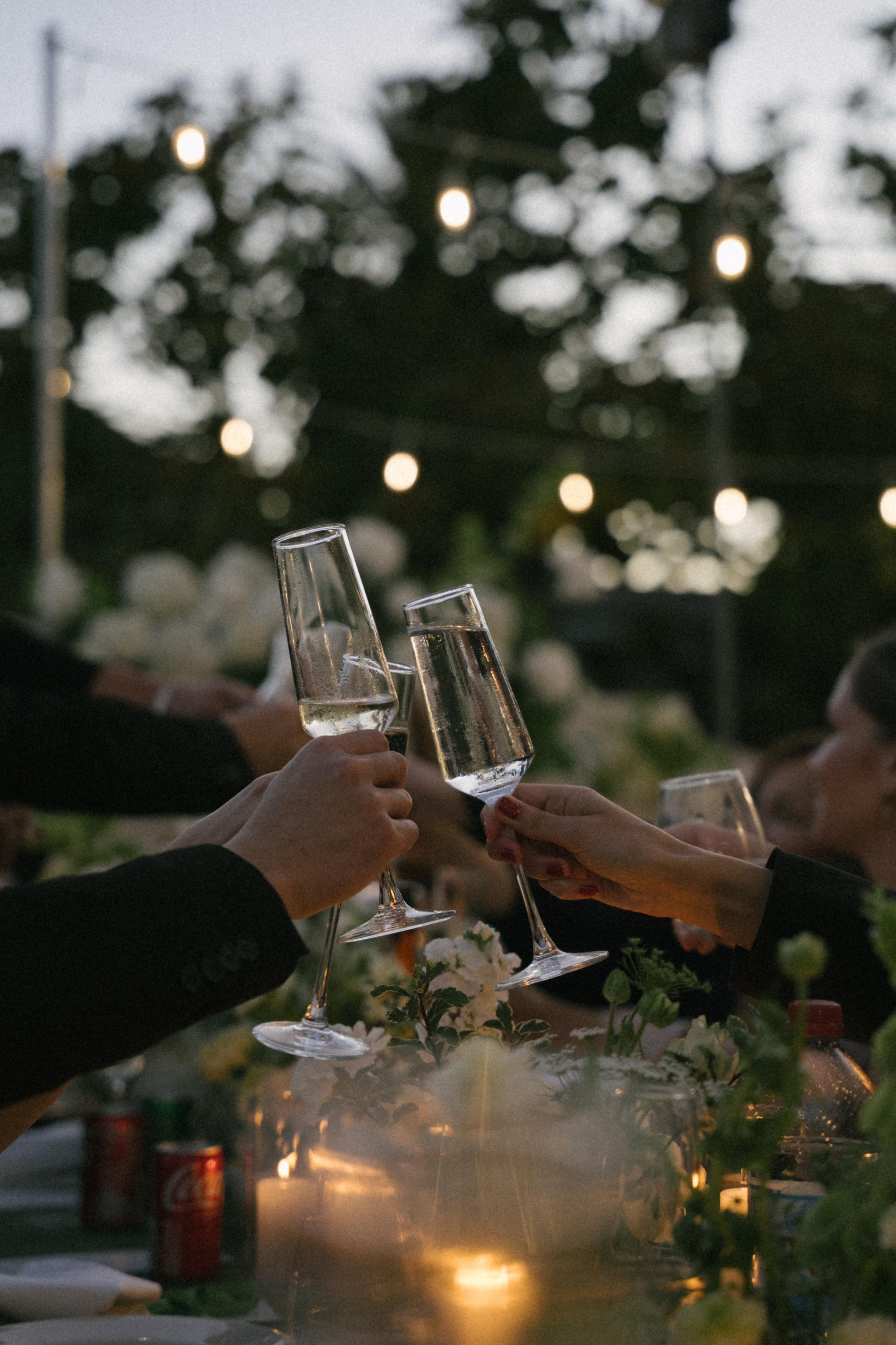 Santa Barbara Wedding. Santa Barbara Elopement. Santa Barbara small Wedding. engagement photoshoot in Santa Barbara