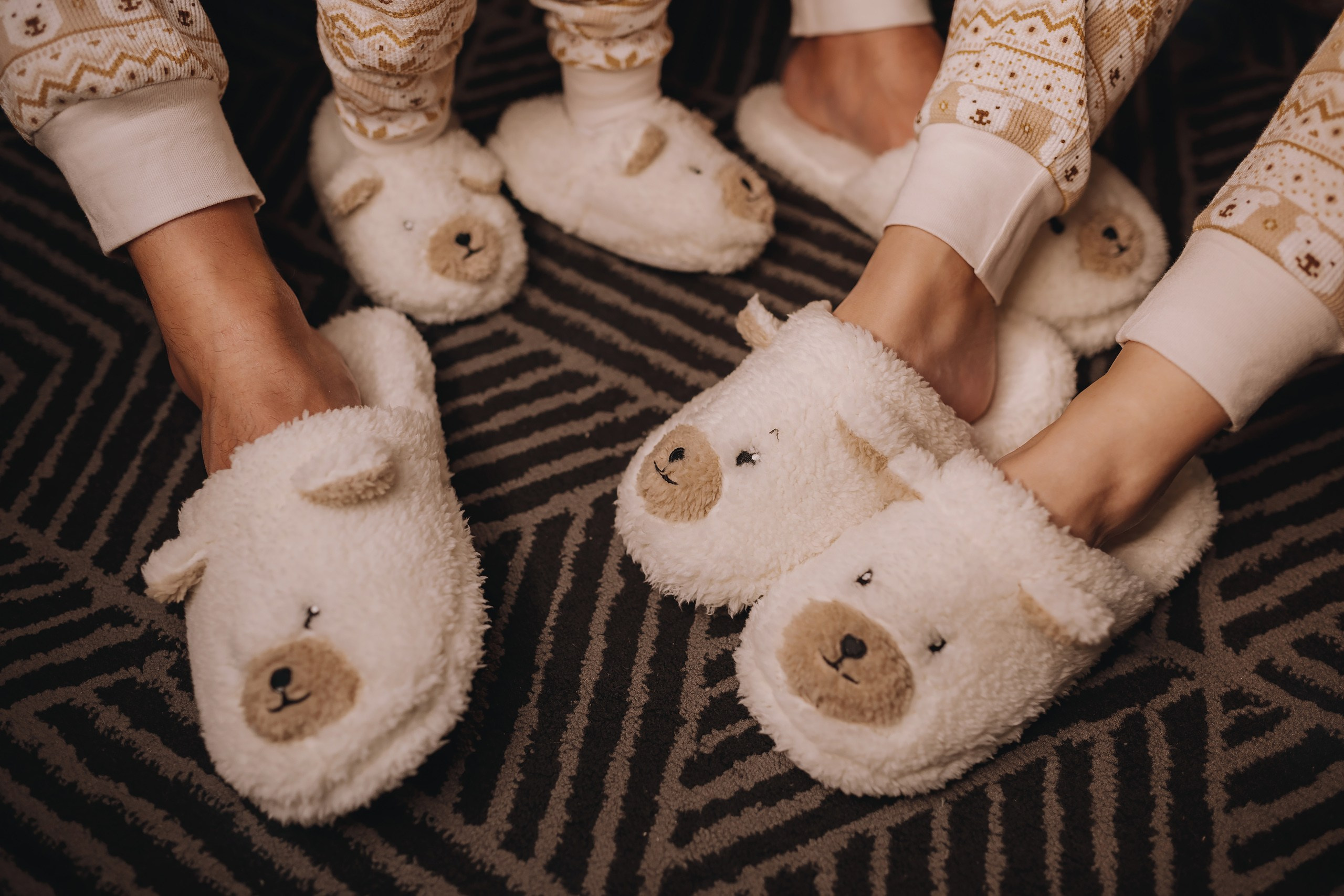 09.12.2023 Christmas Photoshoot. Wedding family event photographer in Chicago Nick Yushevich