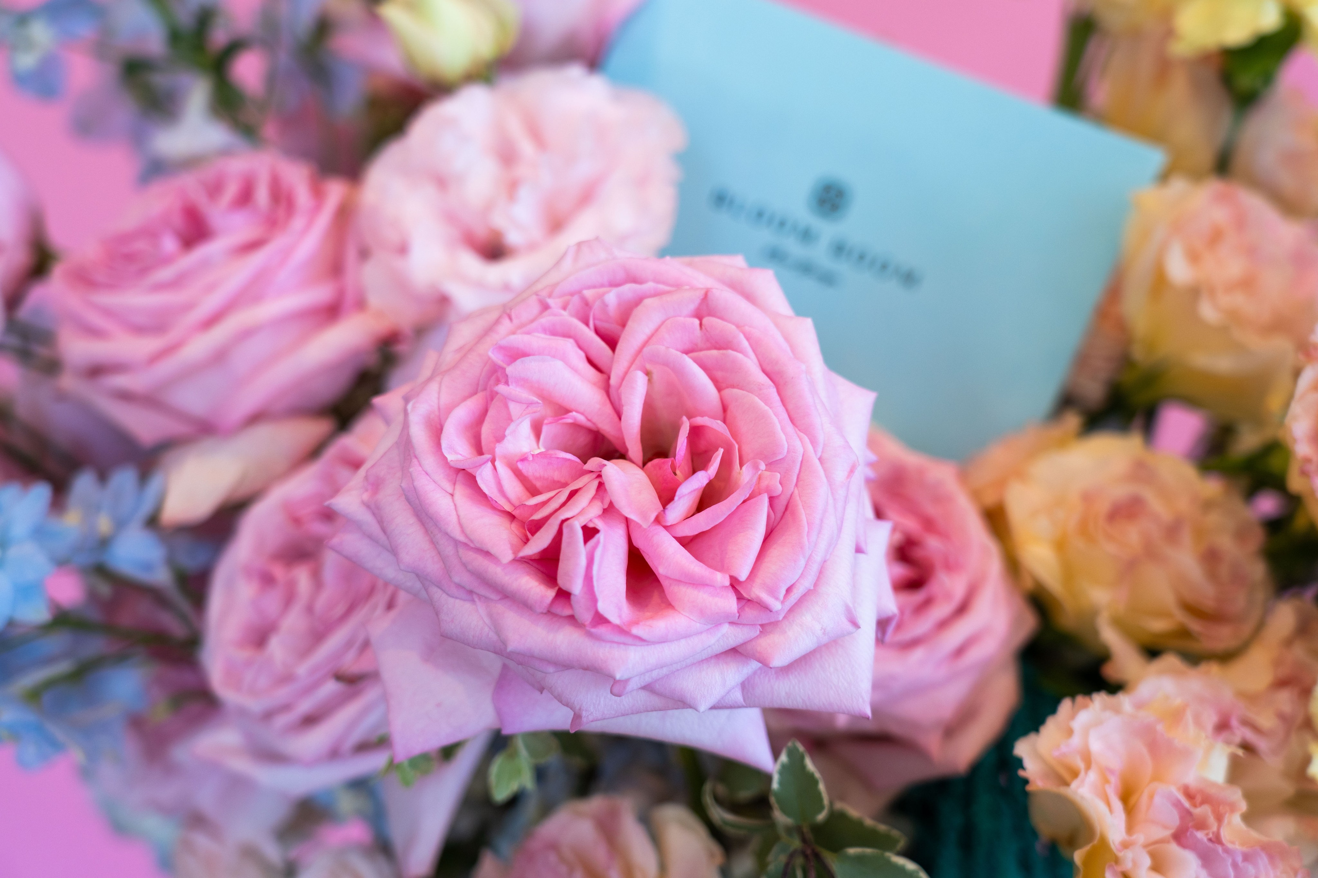 Product Photographer. Santa Clarita Photographer