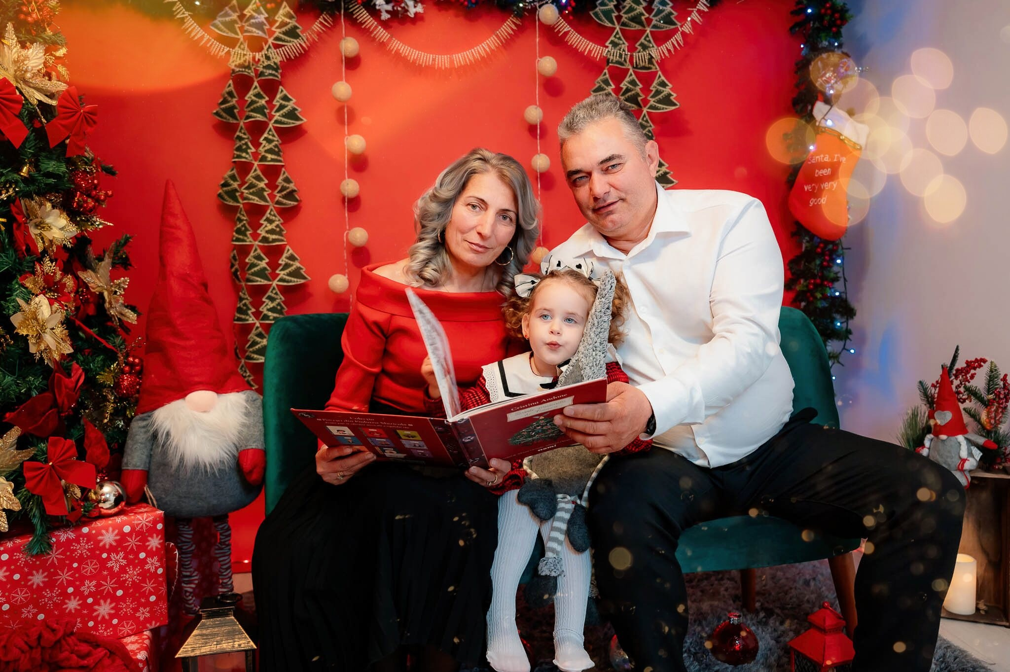 Sedinta Craciun Ioana