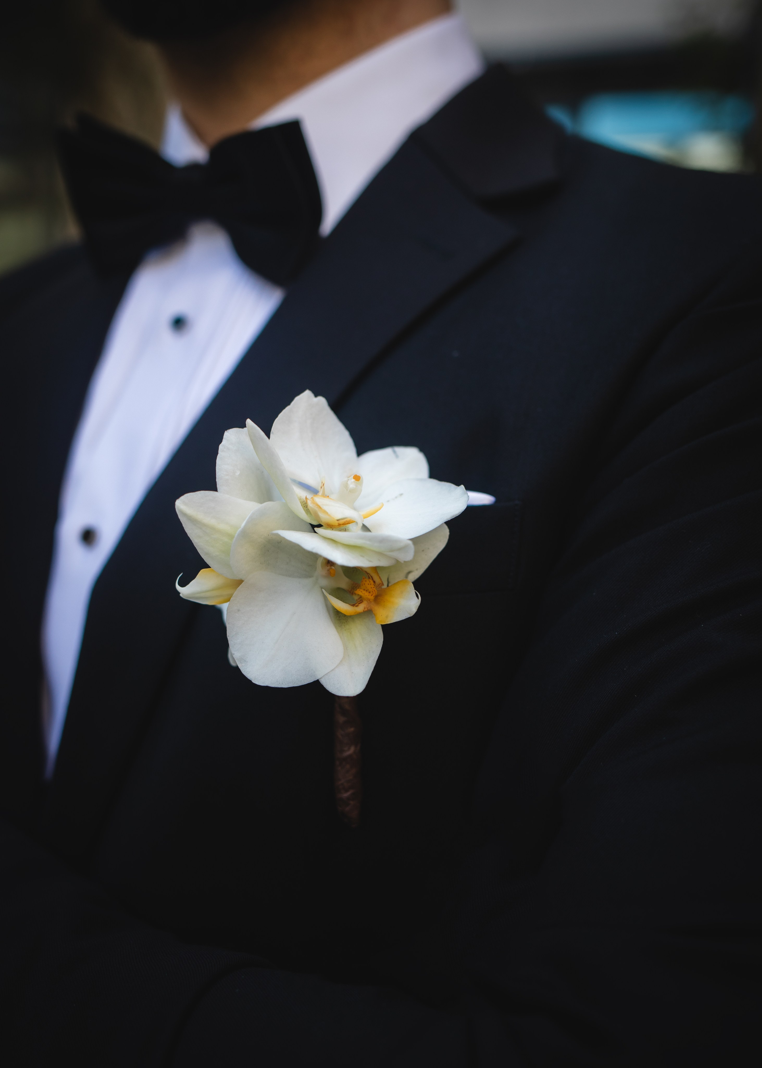 Vida | Martin. Professional wedding photographer in Copenhagen, Denmark — Julia Byron