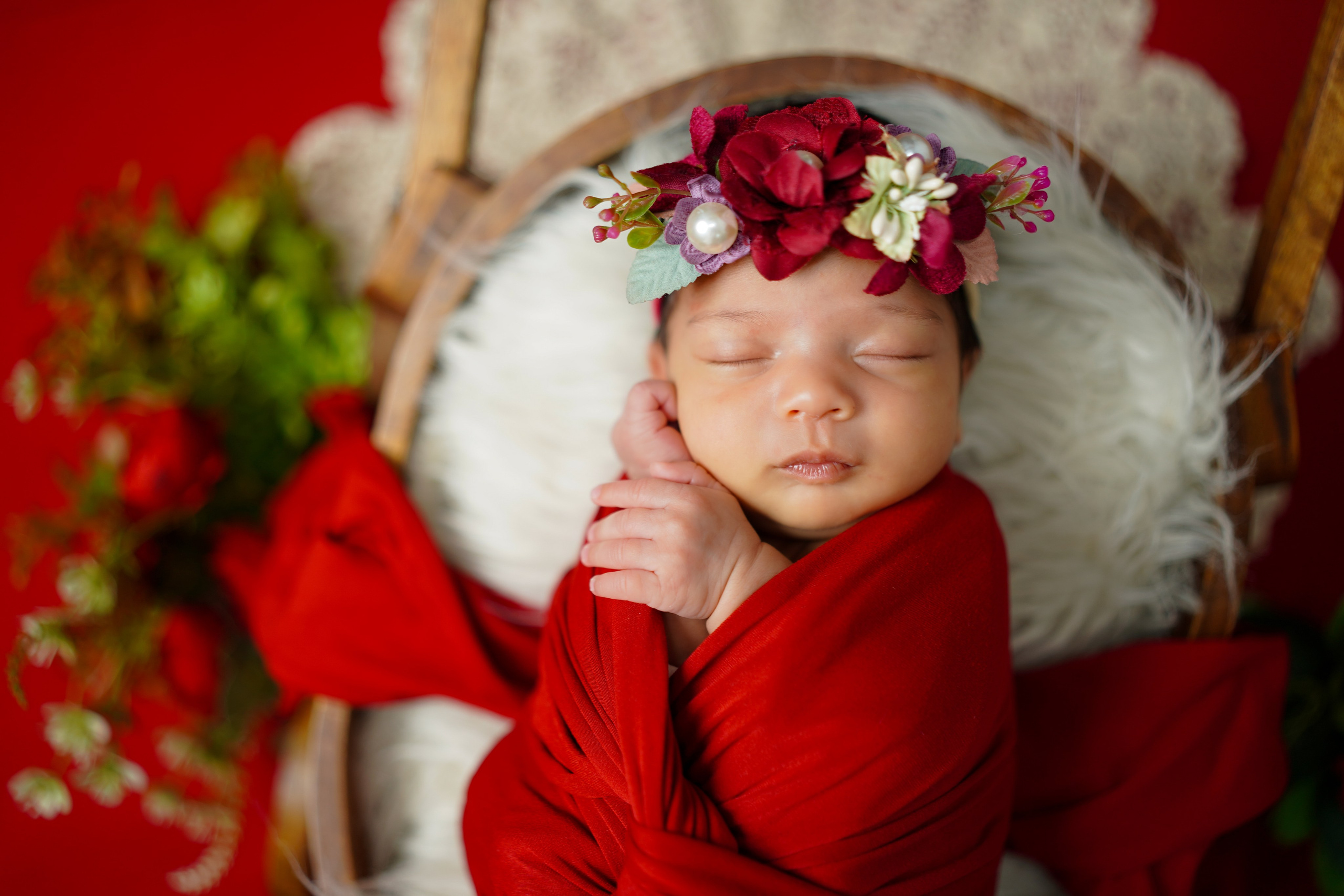 New born. TNF photo & filming