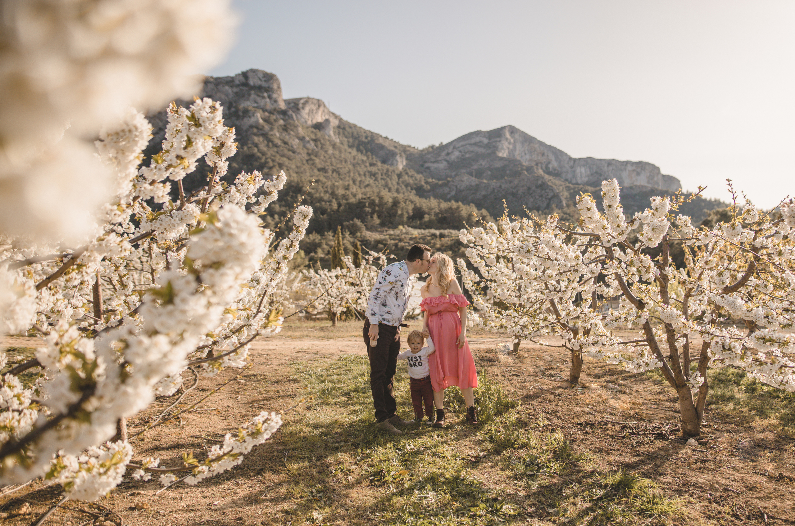 Flowers are blooming. Photographer Videographer Spain Barcelona Tarragona