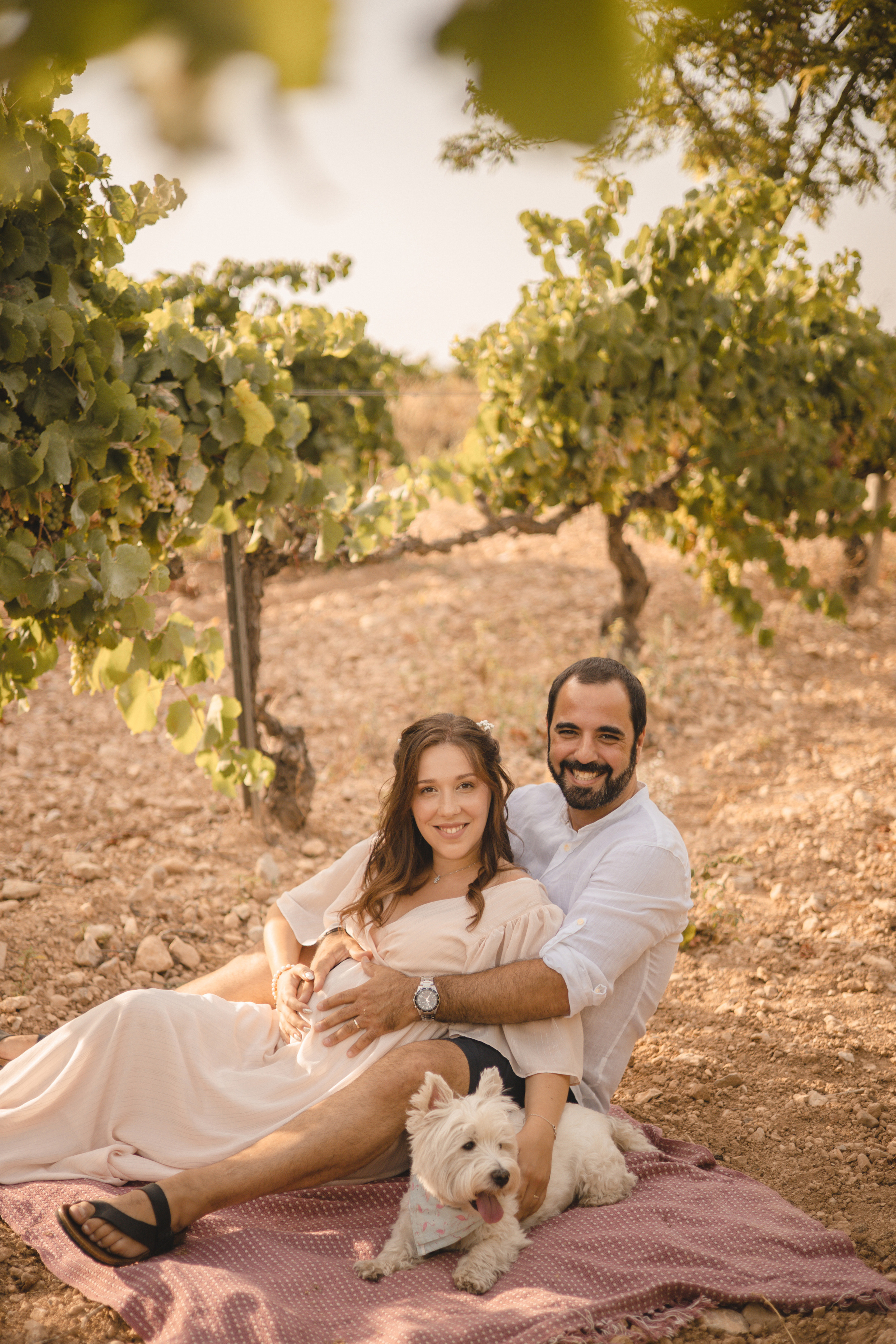 Vineyard. Photographer Videographer Spain Barcelona Tarragona