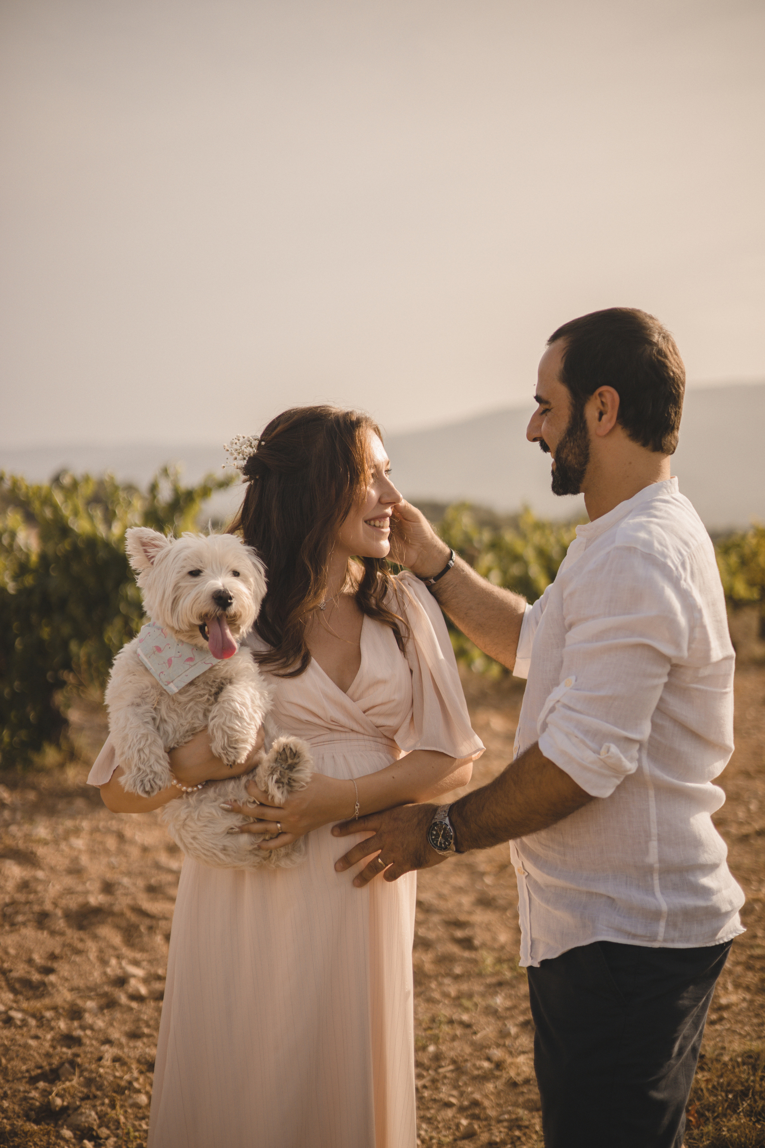 Vineyard. Photographer Videographer Spain Barcelona Tarragona