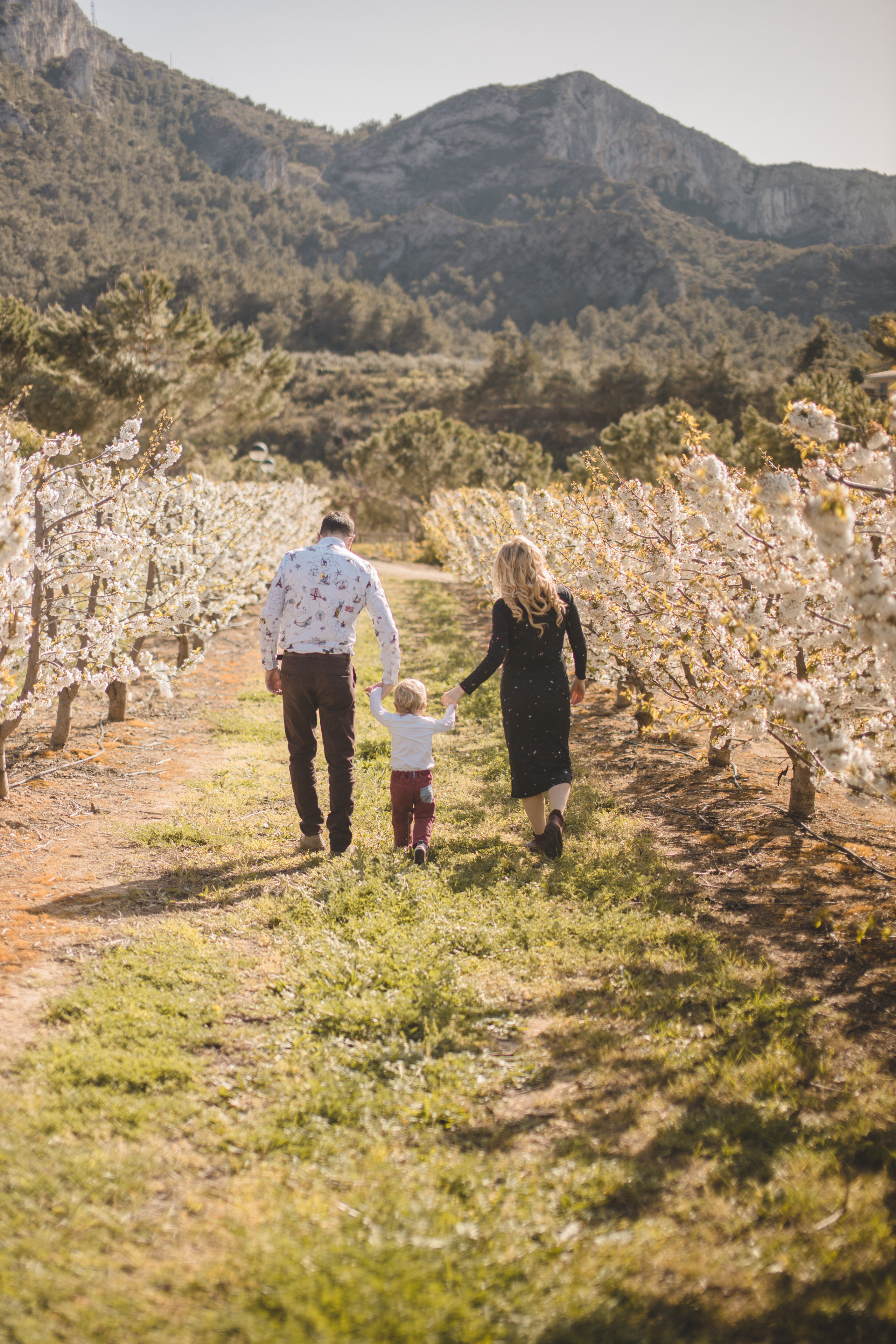 Flowers are blooming. Photographer Videographer Spain Barcelona Tarragona