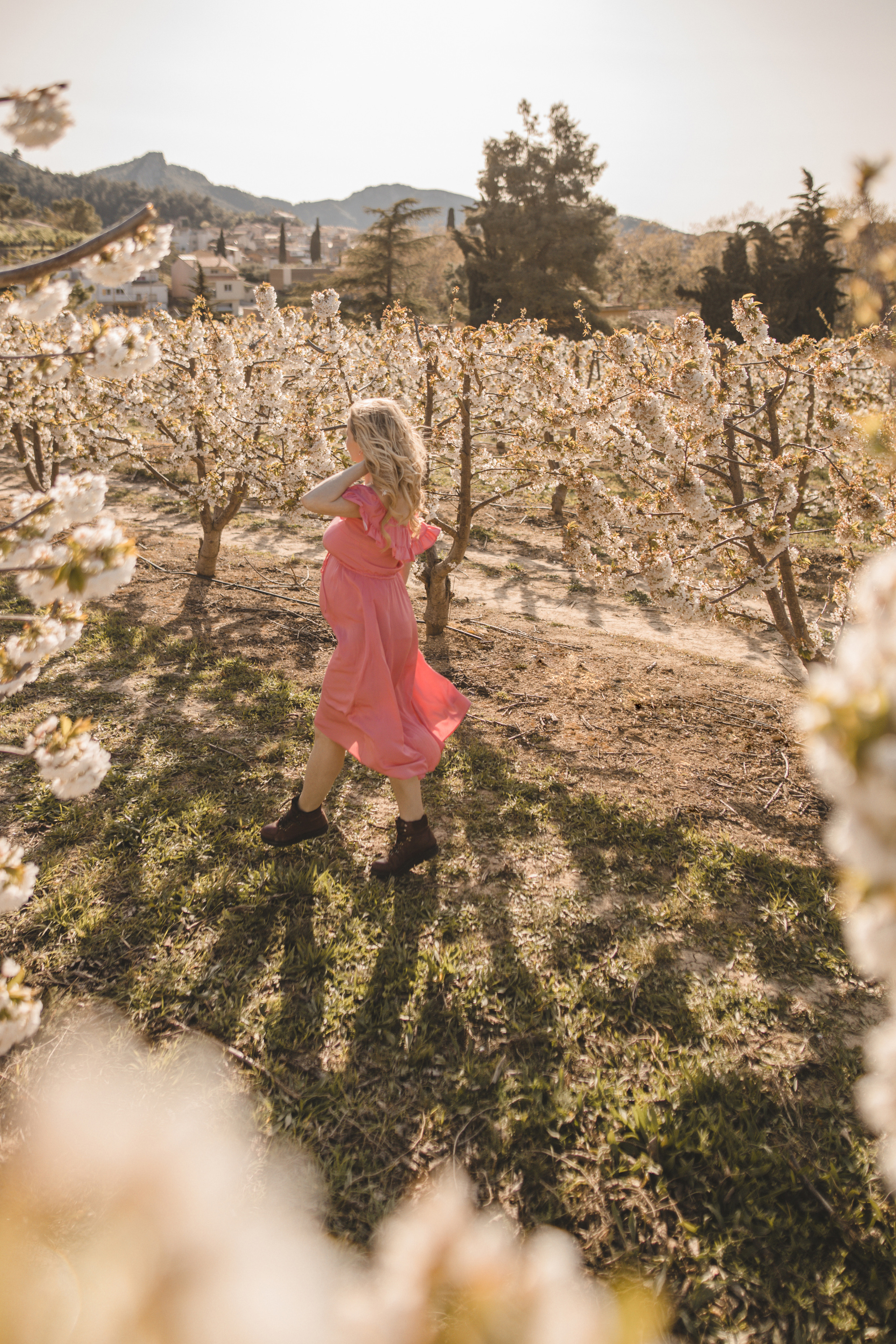 Flowers are blooming. Photographer Videographer Spain Barcelona Tarragona