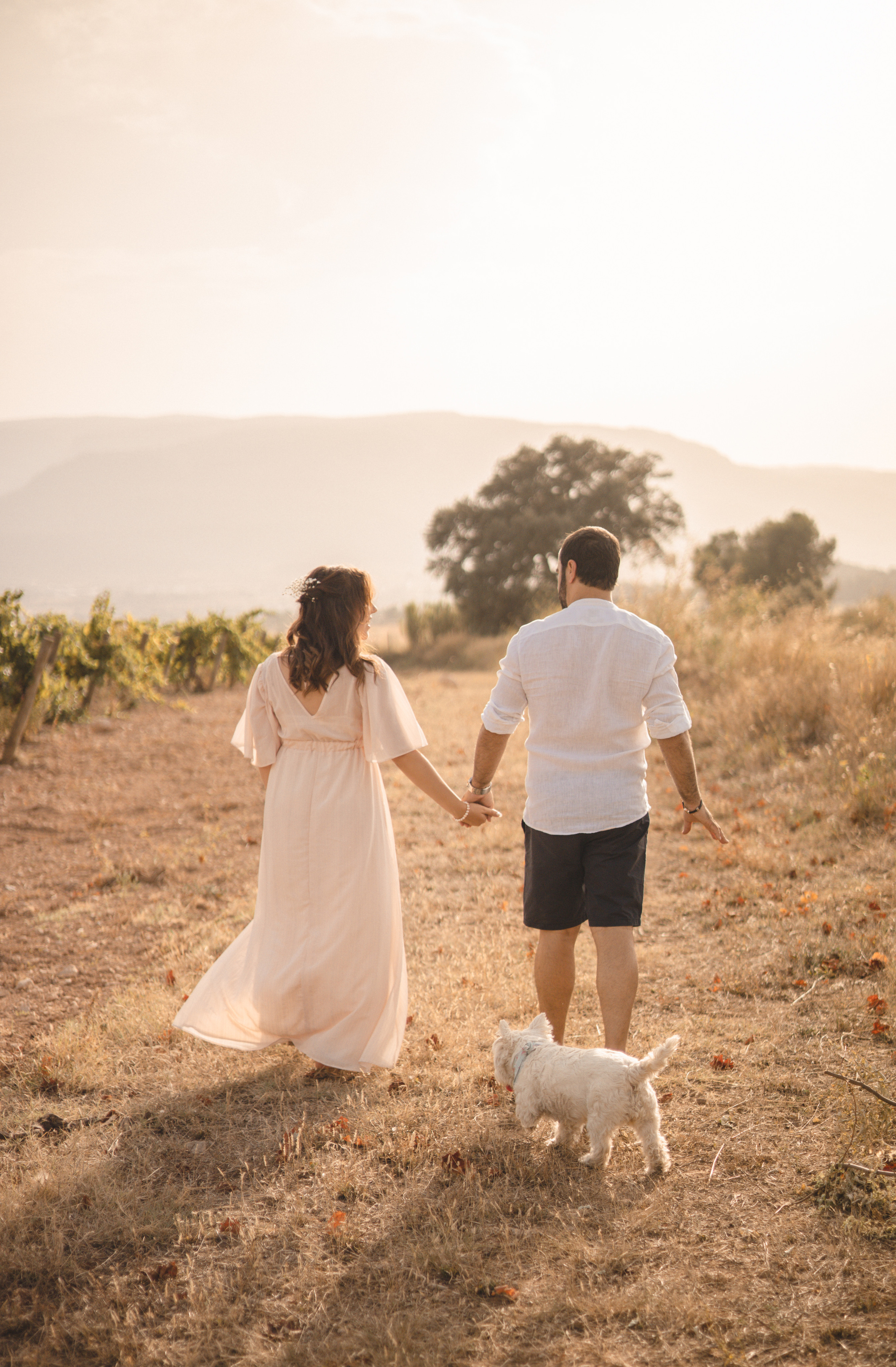 Vineyard. Photographer Videographer Spain Barcelona Tarragona
