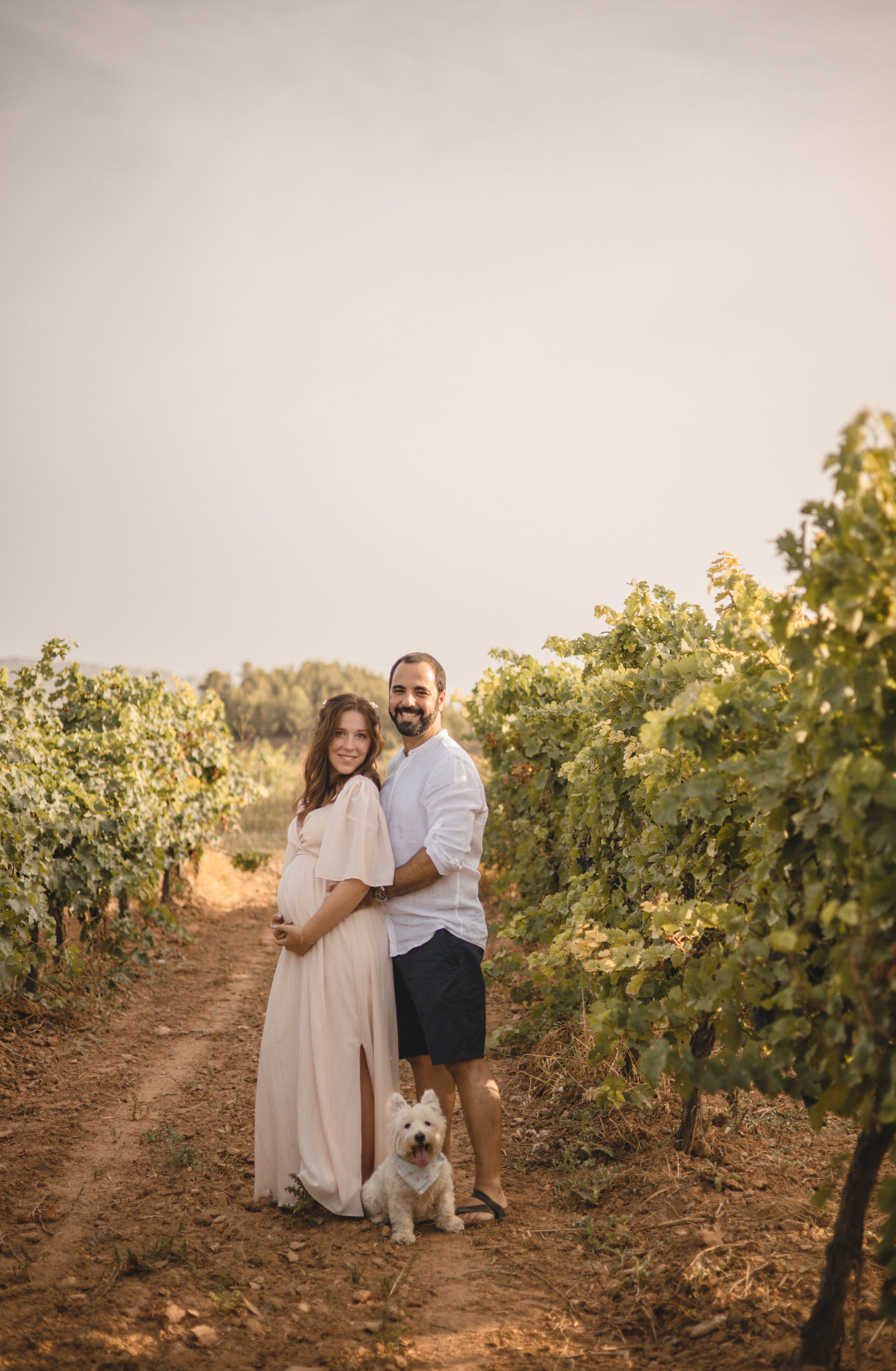 Vineyard. Photographer Videographer Spain Barcelona Tarragona