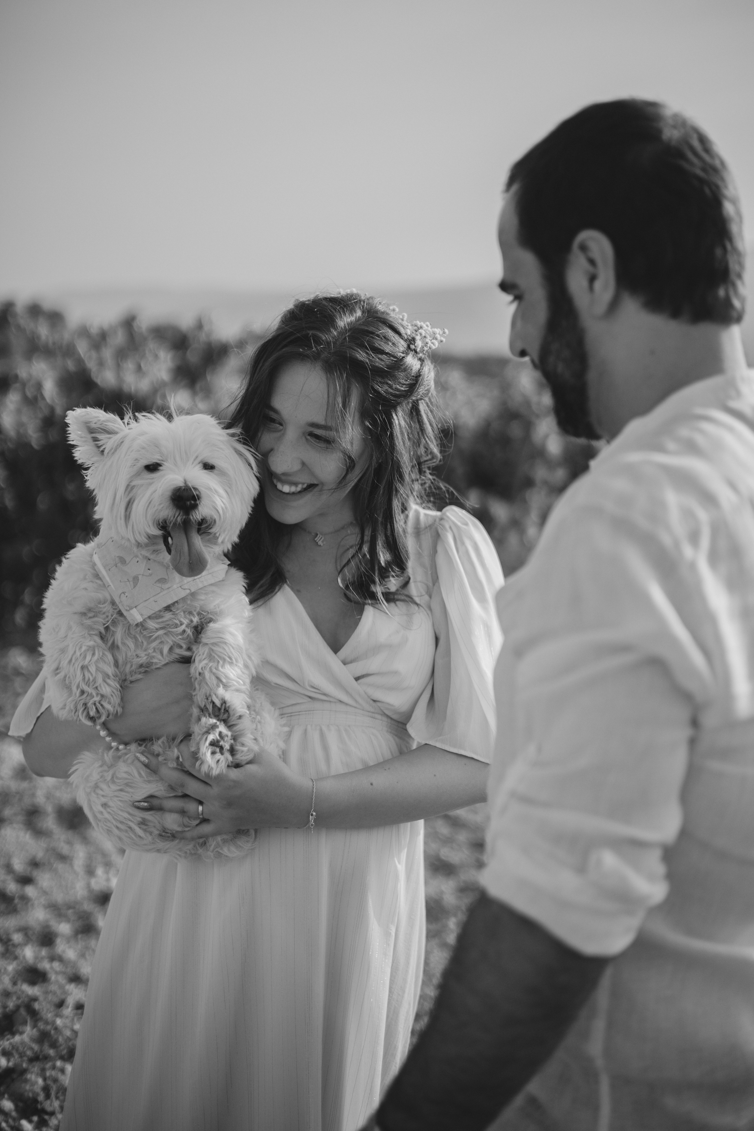 Vineyard. Photographer Videographer Spain Barcelona Tarragona