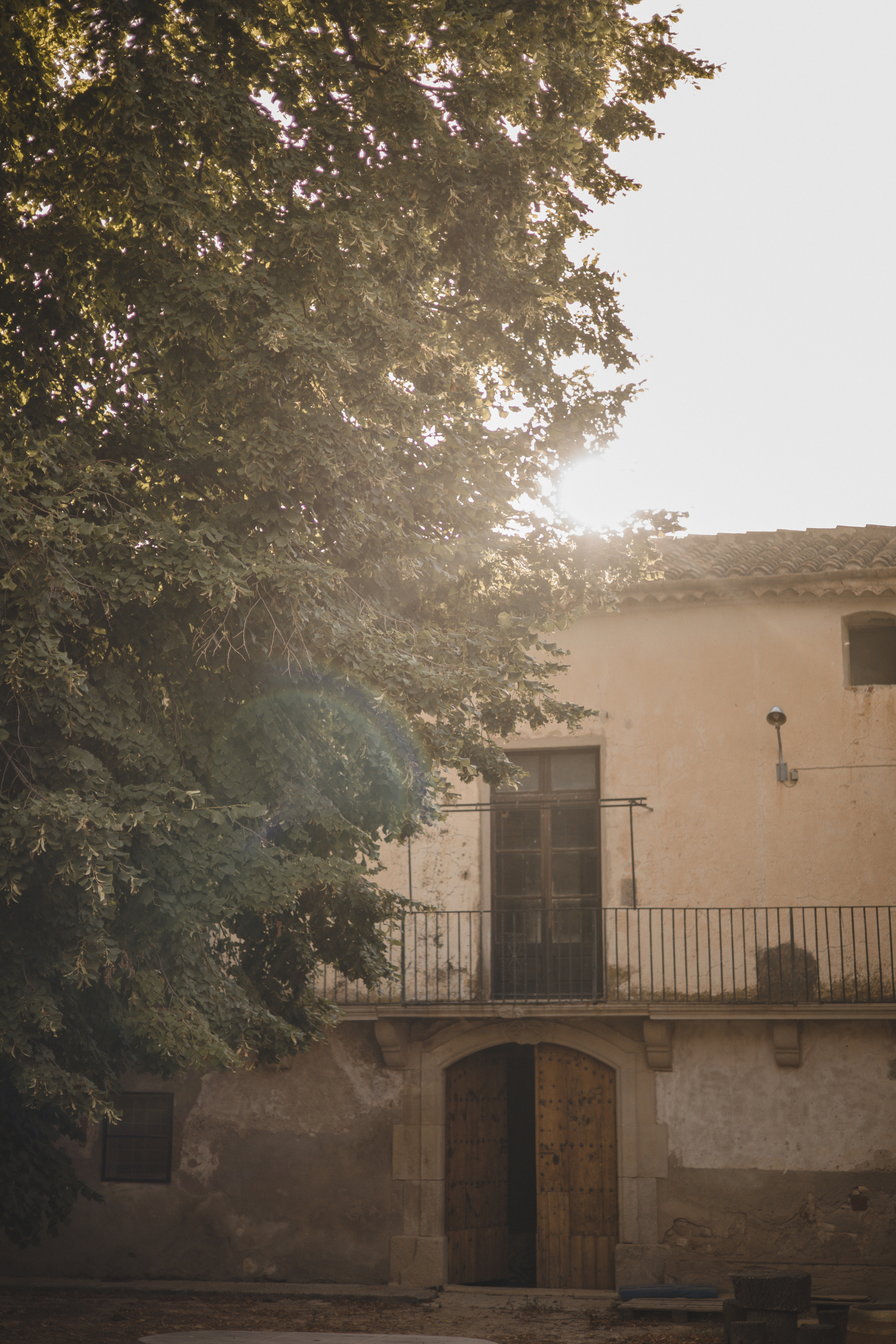 Vineyard. Photographer Videographer Spain Barcelona Tarragona