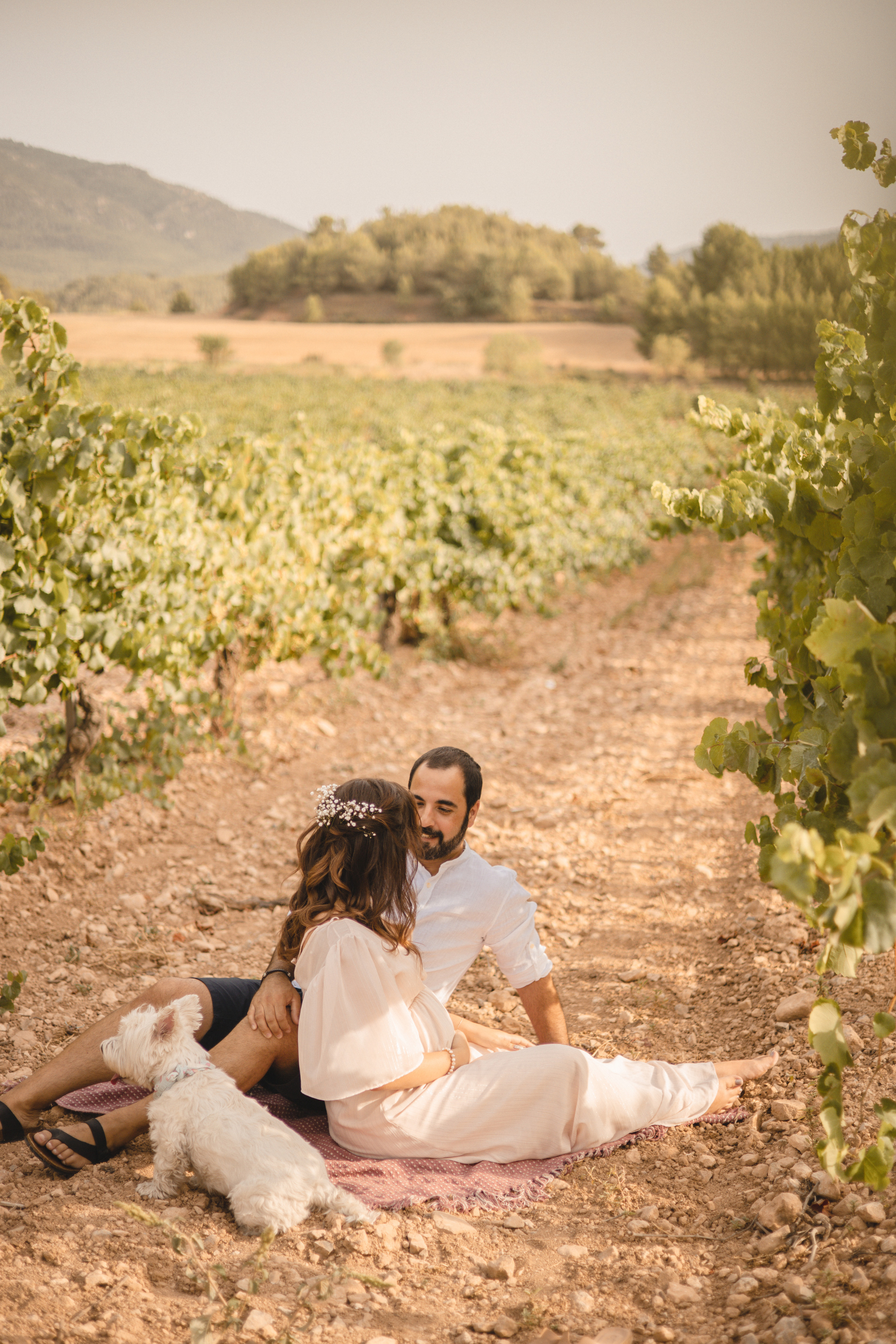 Vineyard. Photographer Videographer Spain Barcelona Tarragona