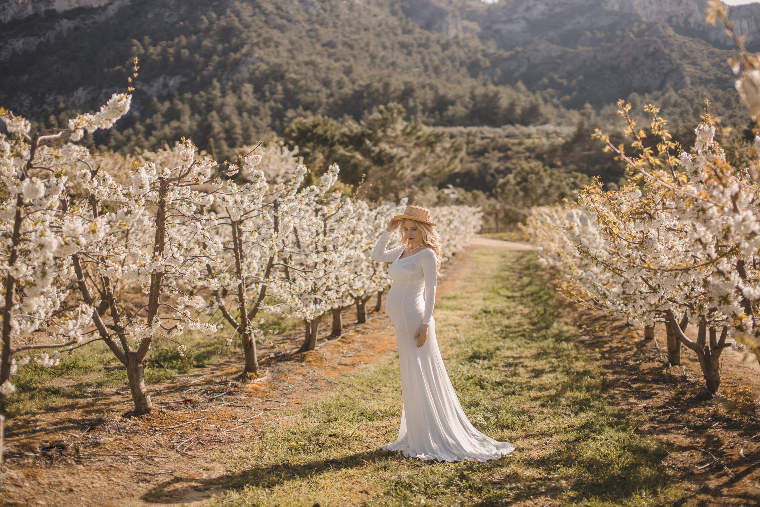Flowers are blooming. Photographer Videographer Spain Barcelona Tarragona