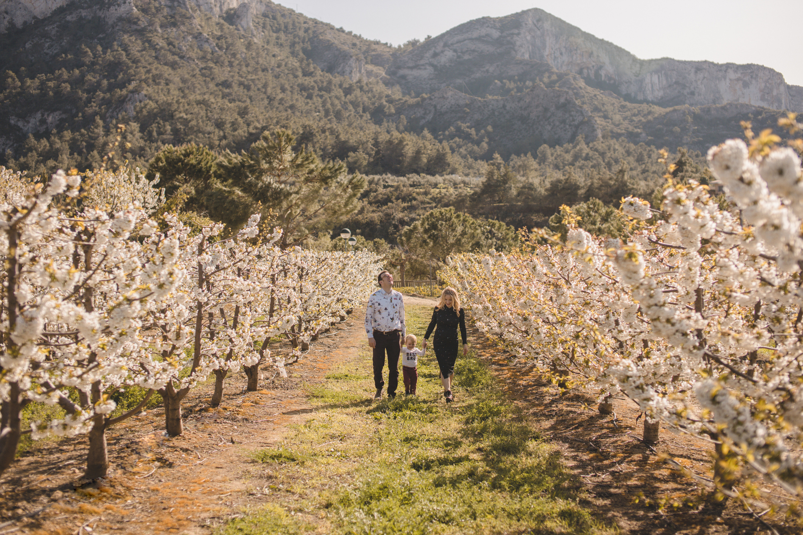 Flowers are blooming. Photographer Videographer Spain Barcelona Tarragona