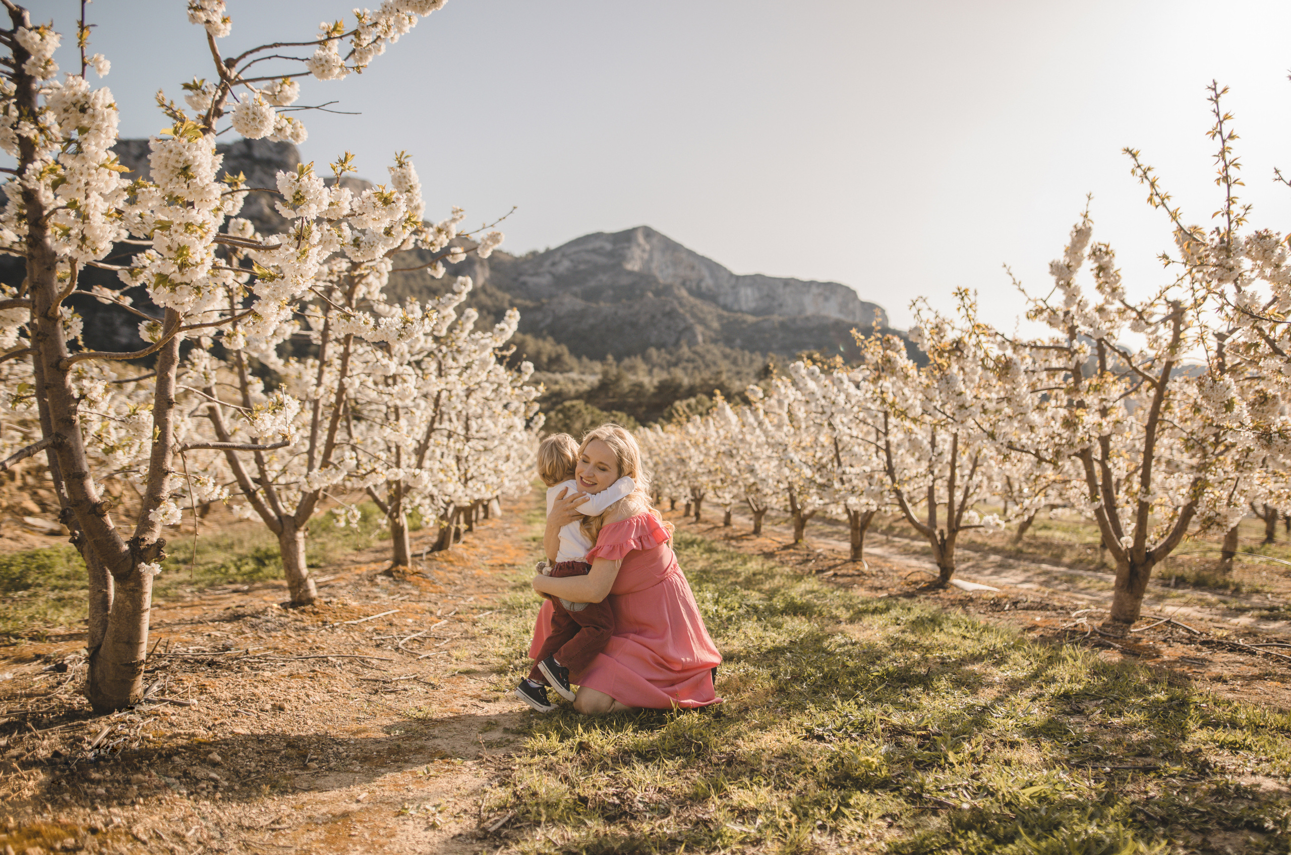 Flowers are blooming. Photographer Videographer Spain Barcelona Tarragona