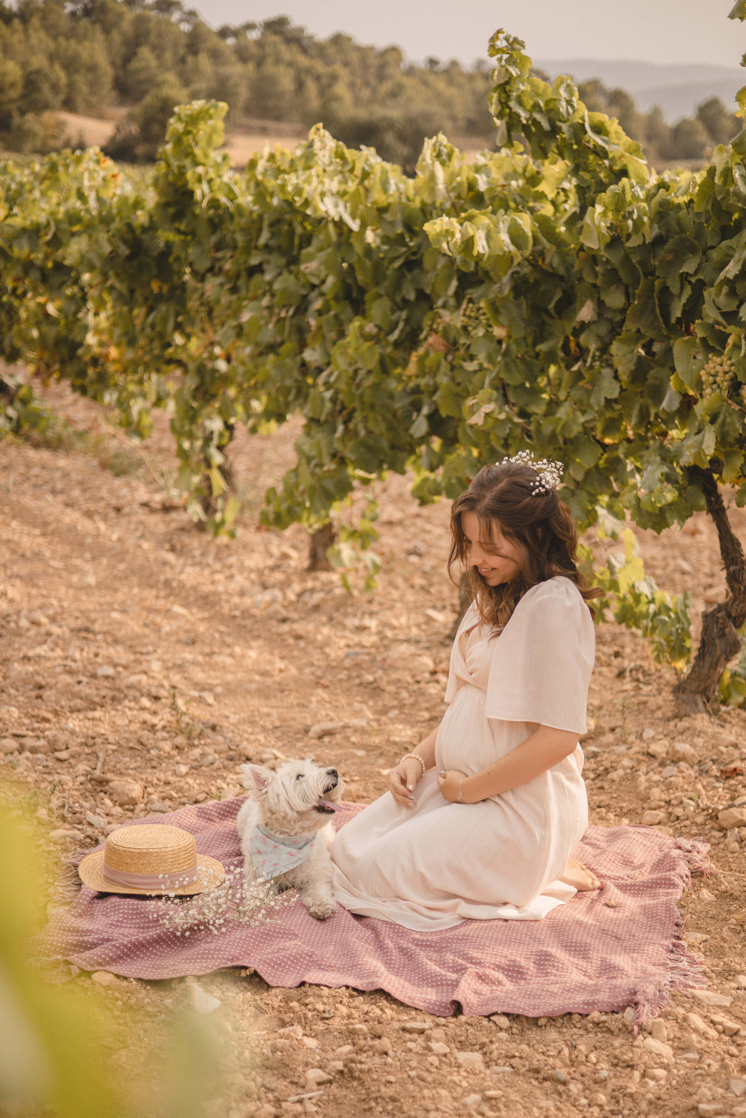 Vineyard. Photographer Videographer Spain Barcelona Tarragona