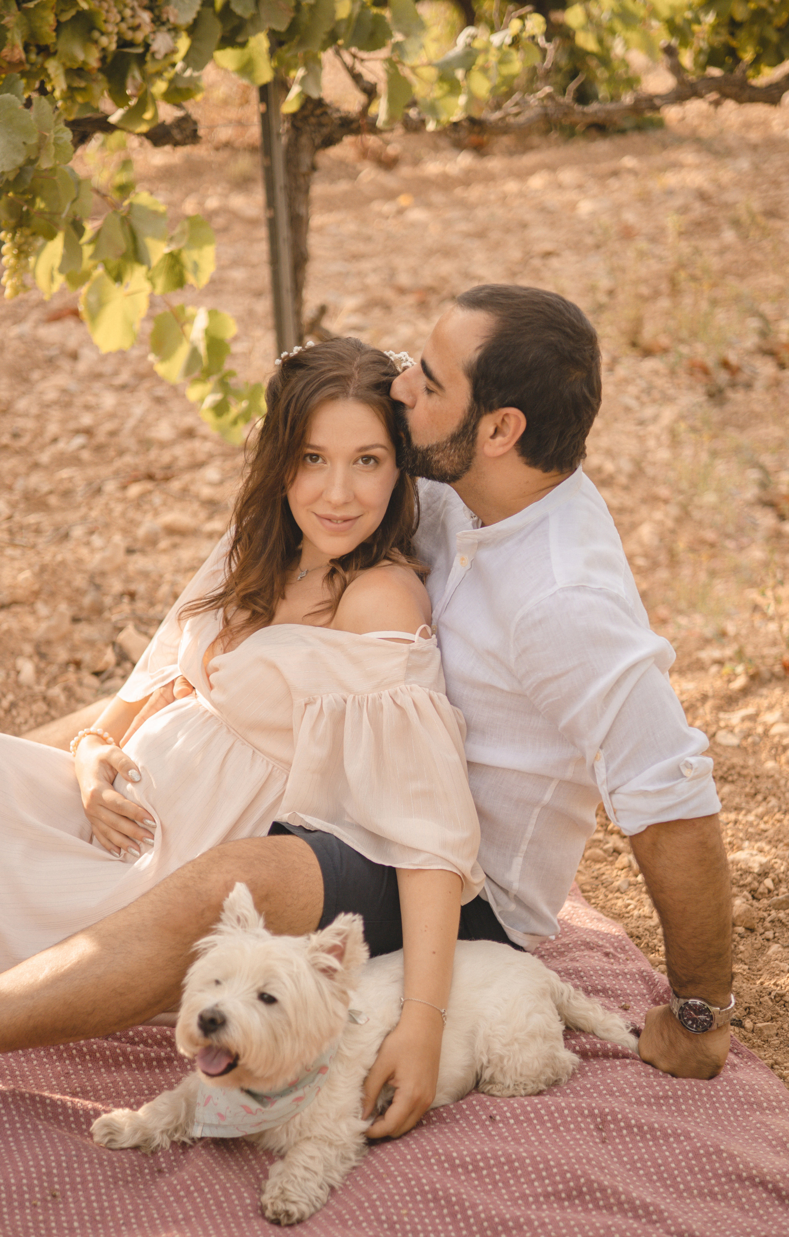 Vineyard. Photographer Videographer Spain Barcelona Tarragona