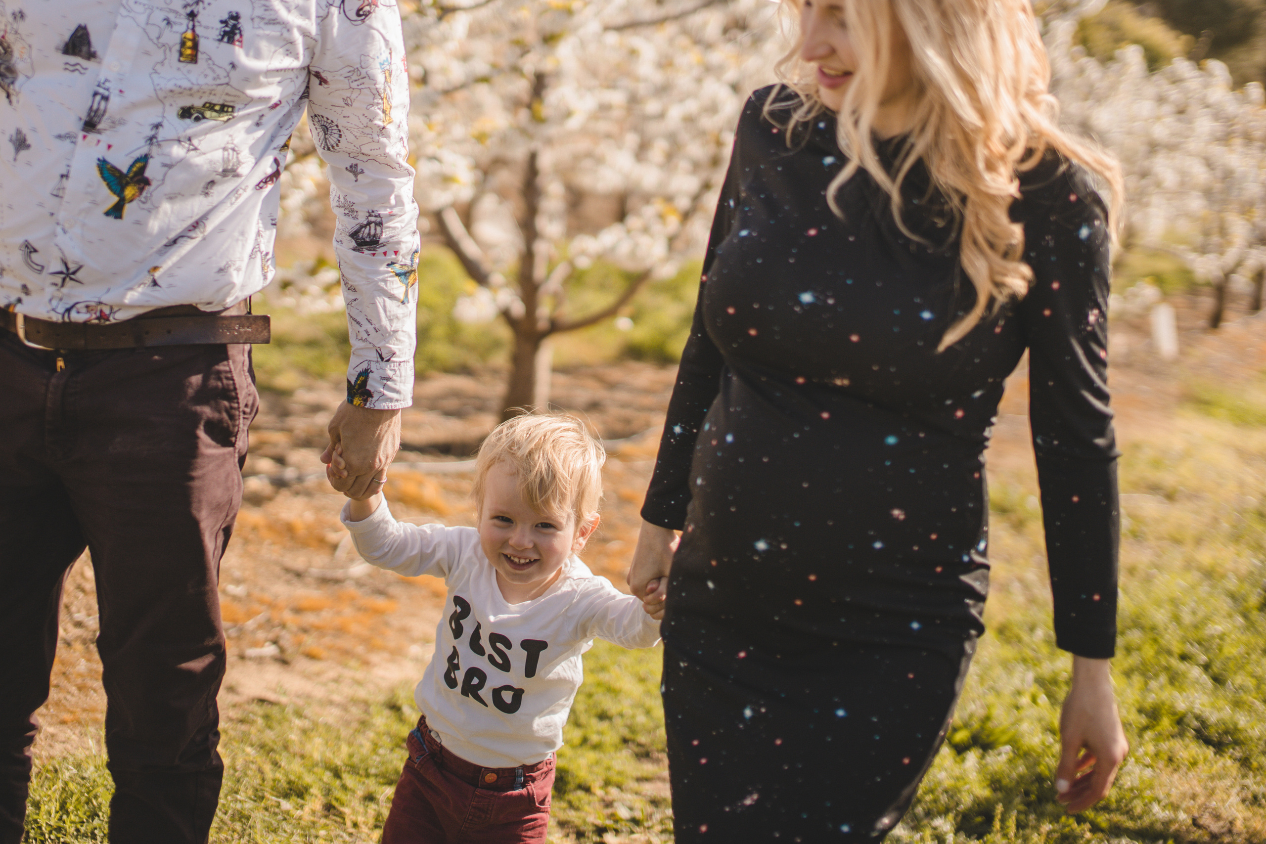 Flowers are blooming. Photographer Videographer Spain Barcelona Tarragona