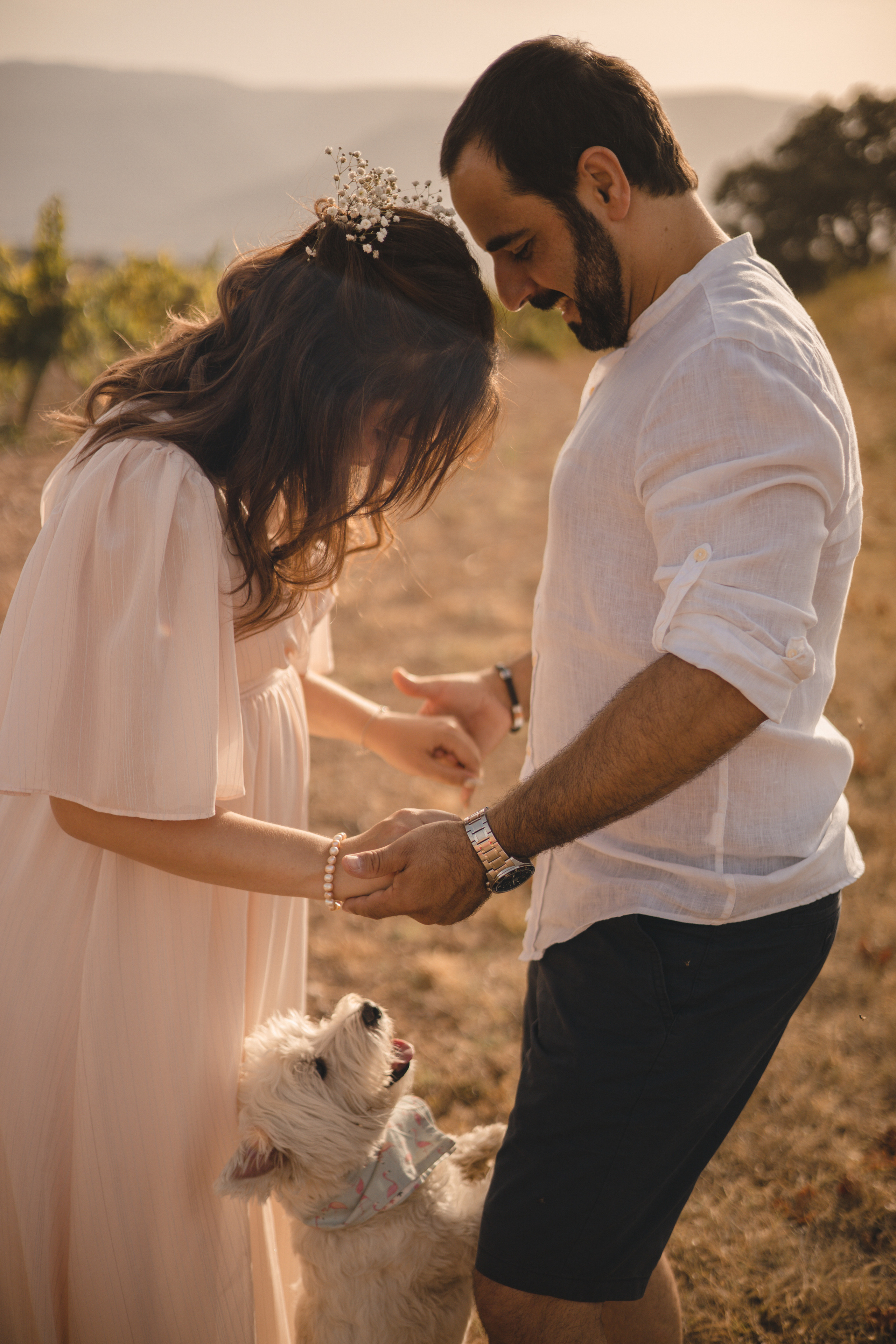 Vineyard. Photographer Videographer Spain Barcelona Tarragona