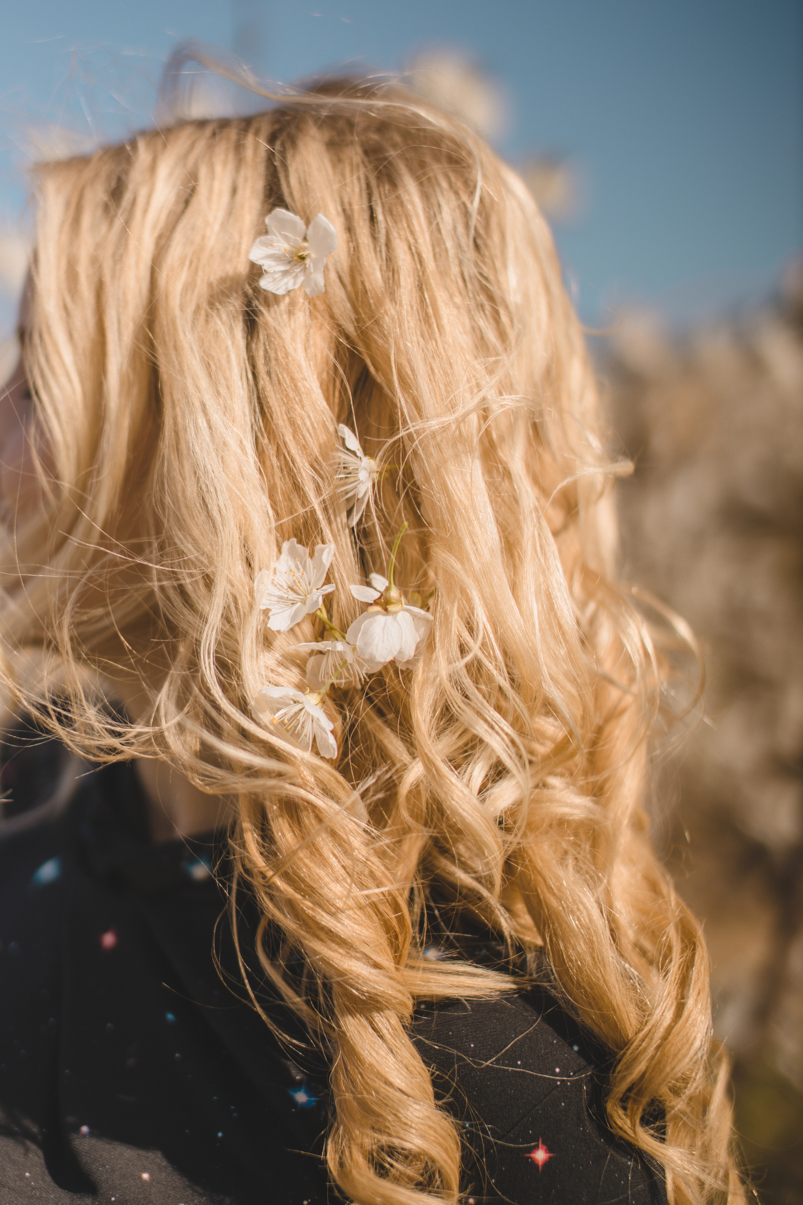 Flowers are blooming. Photographer Videographer Spain Barcelona Tarragona