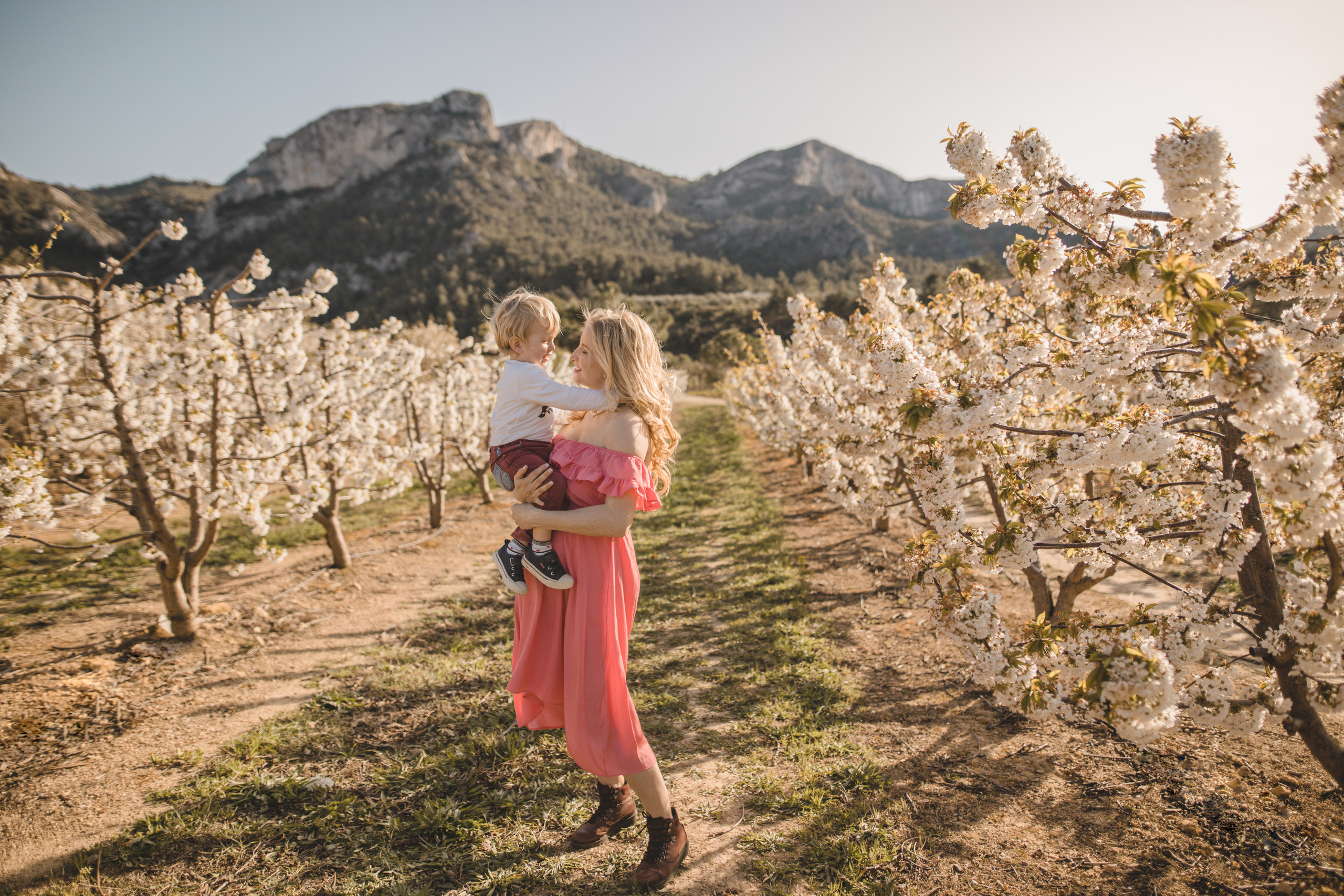 Flowers are blooming. Photographer Videographer Spain Barcelona Tarragona