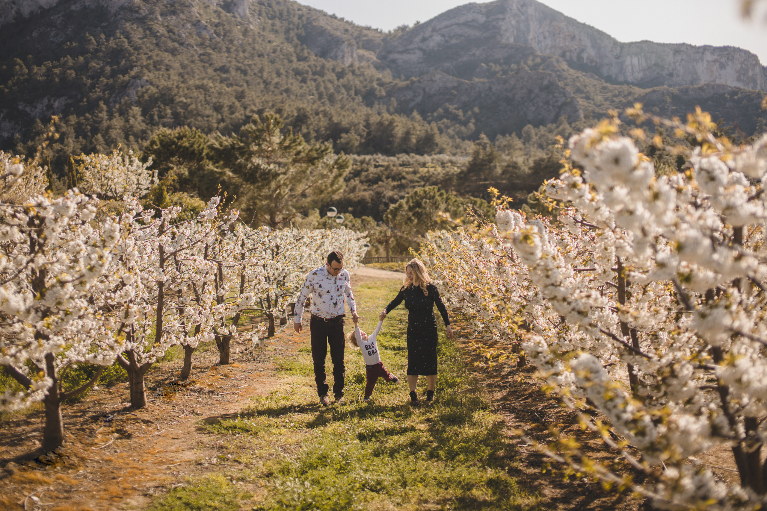 Flowers are blooming. Photographer Videographer Spain Barcelona Tarragona