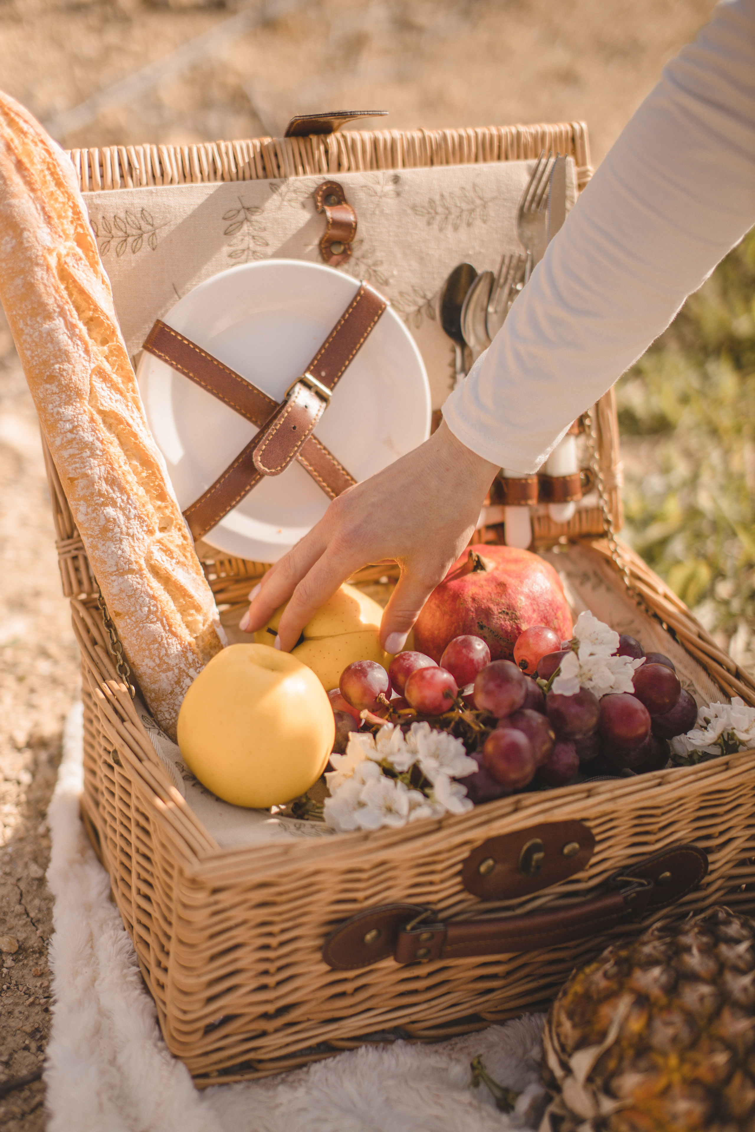 Flowers are blooming. Photographer Videographer Spain Barcelona Tarragona
