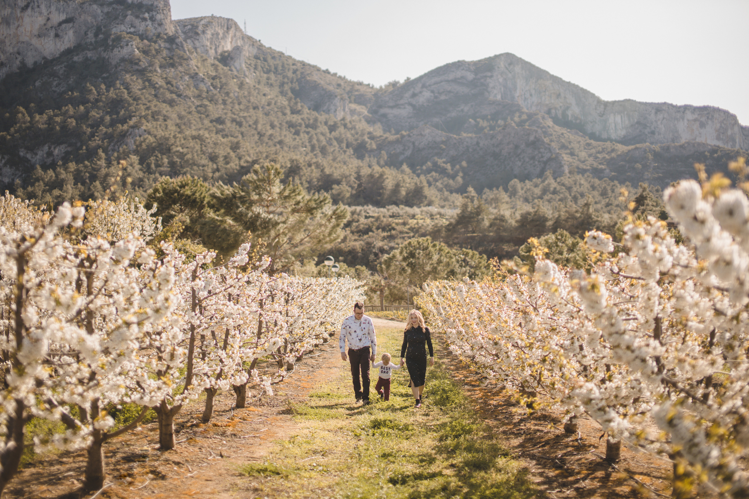 Flowers are blooming. Photographer Videographer Spain Barcelona Tarragona