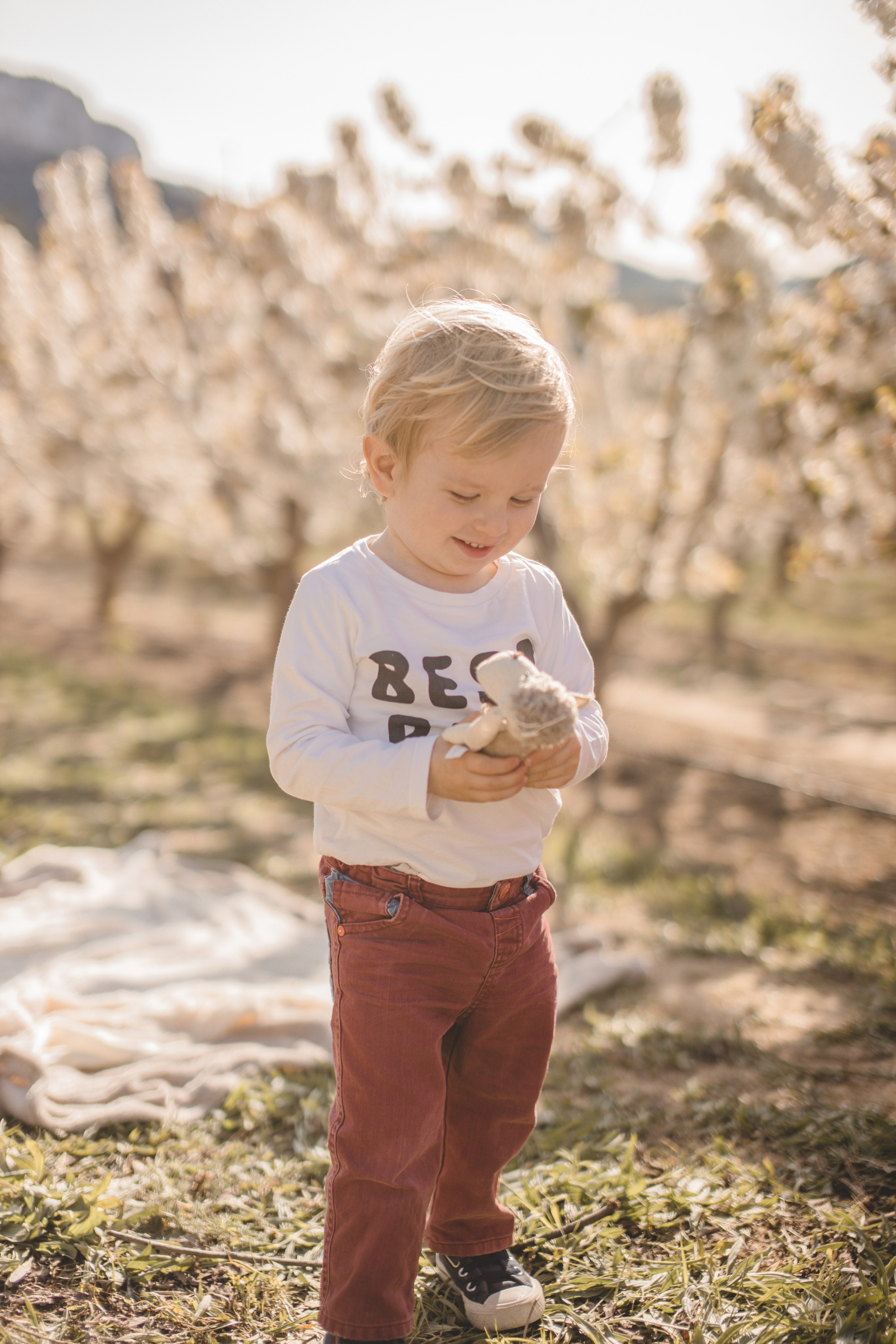 Flowers are blooming. Photographer Videographer Spain Barcelona Tarragona