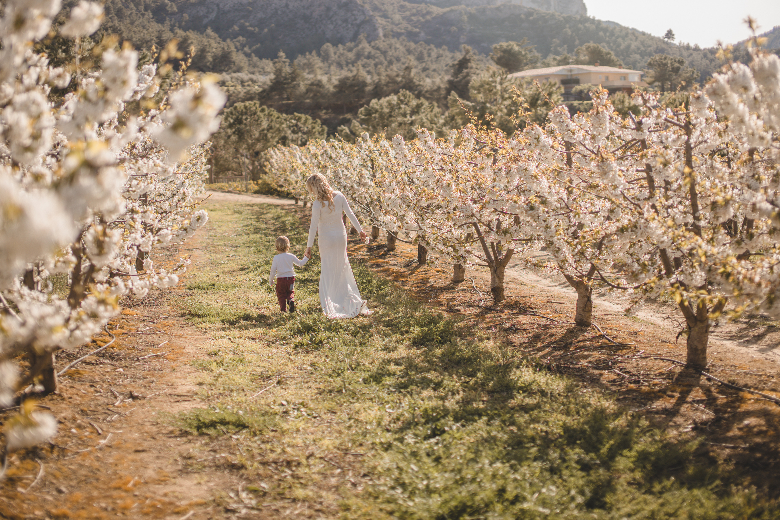 Flowers are blooming. Photographer Videographer Spain Barcelona Tarragona