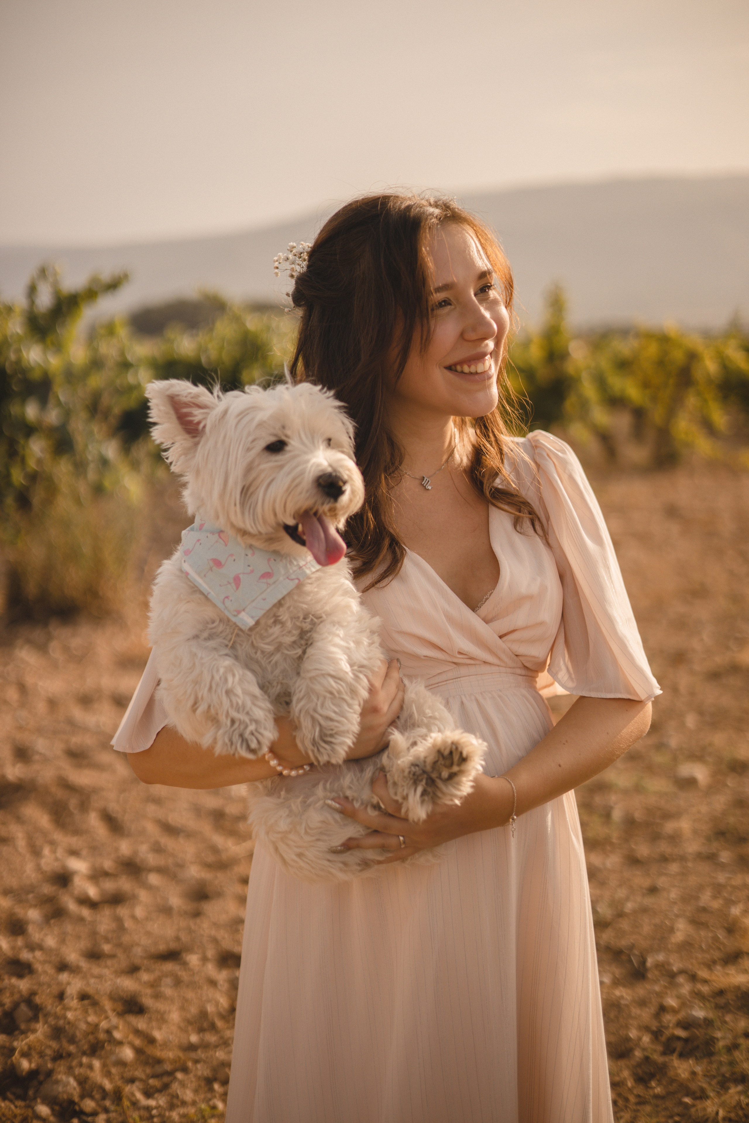 Vineyard. Photographer Videographer Spain Barcelona Tarragona