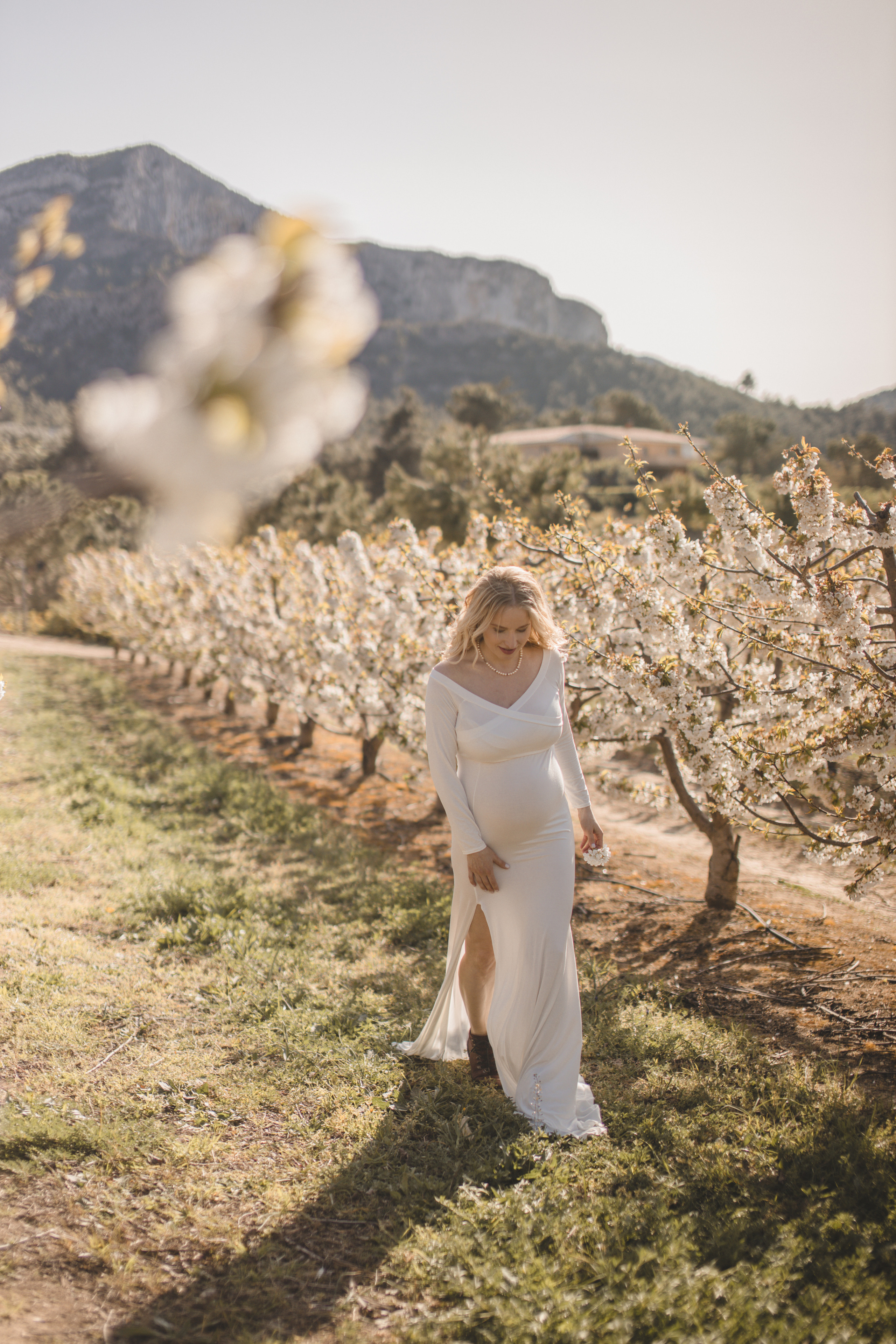 Flowers are blooming. Photographer Videographer Spain Barcelona Tarragona