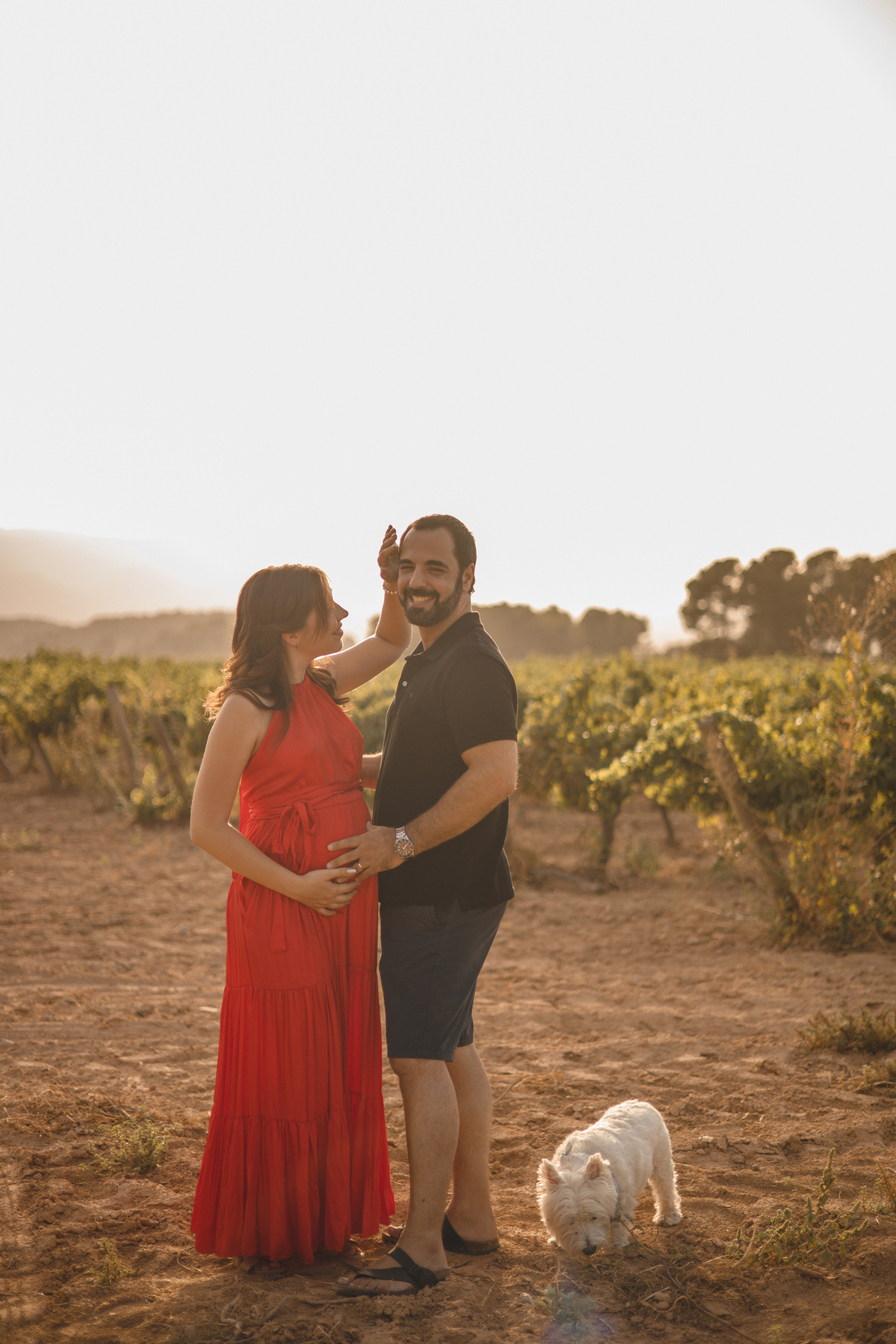 Vineyard. Photographer Videographer Spain Barcelona Tarragona