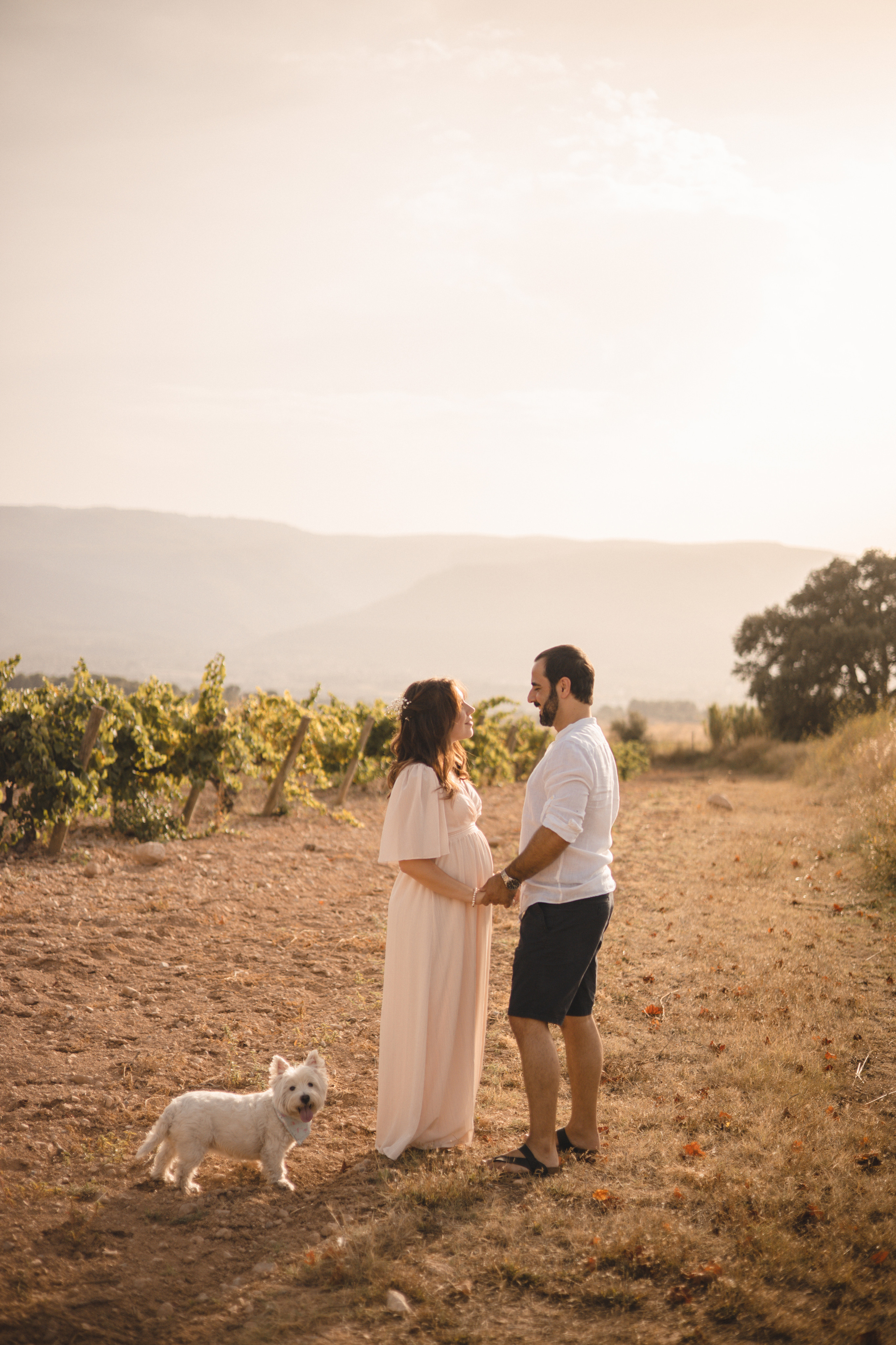 Vineyard. Photographer Videographer Spain Barcelona Tarragona
