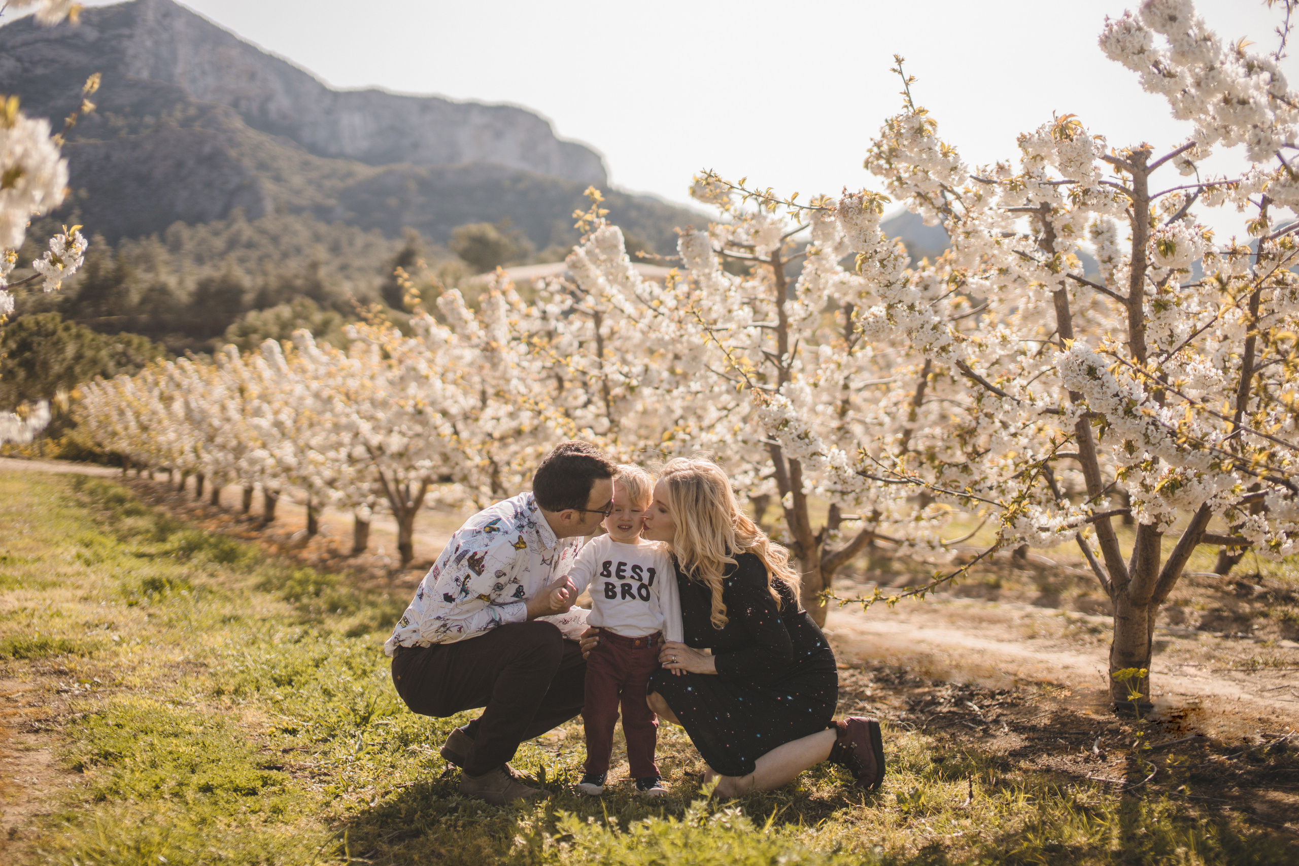 Flowers are blooming. Photographer Videographer Spain Barcelona Tarragona