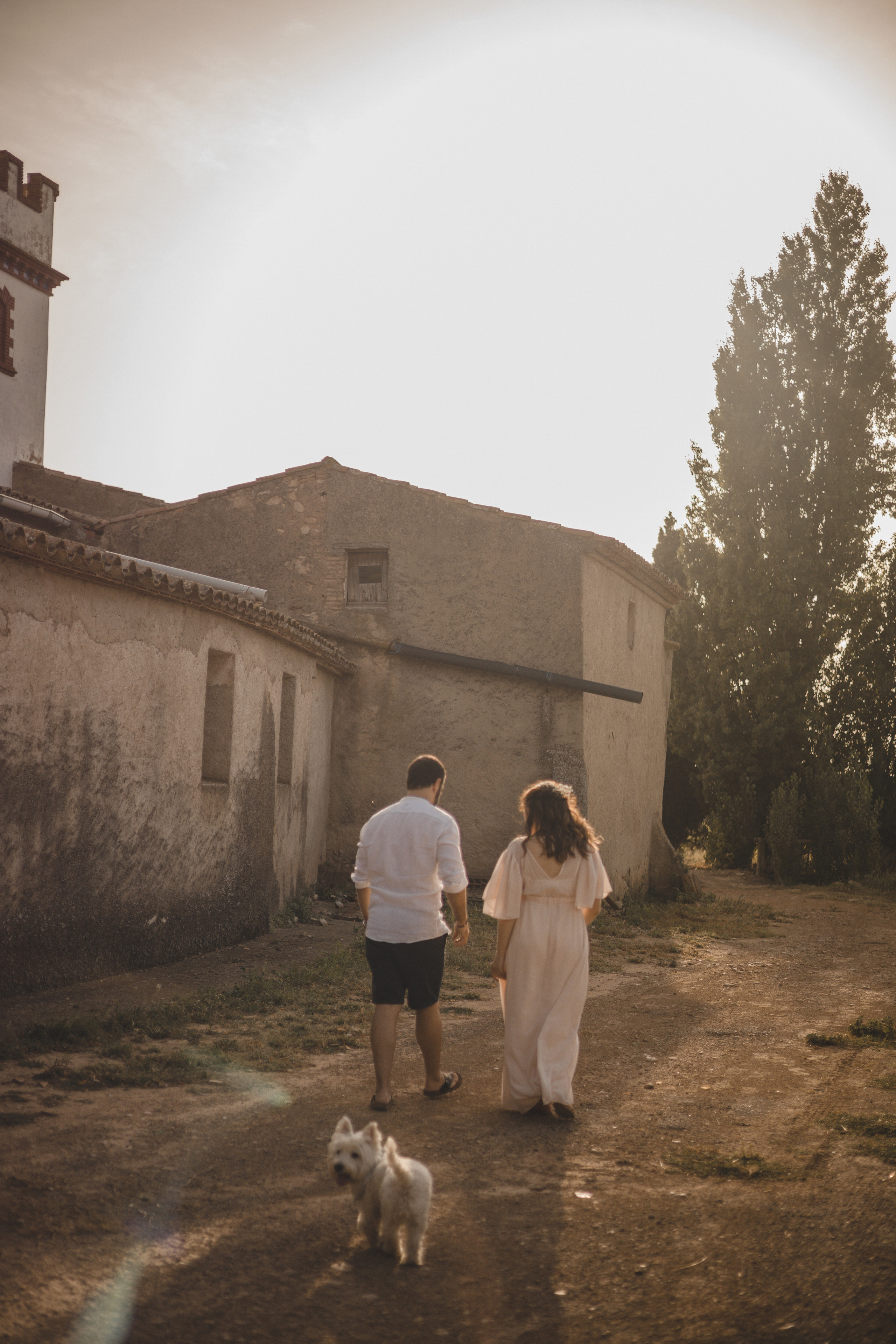 Vineyard. Photographer Videographer Spain Barcelona Tarragona