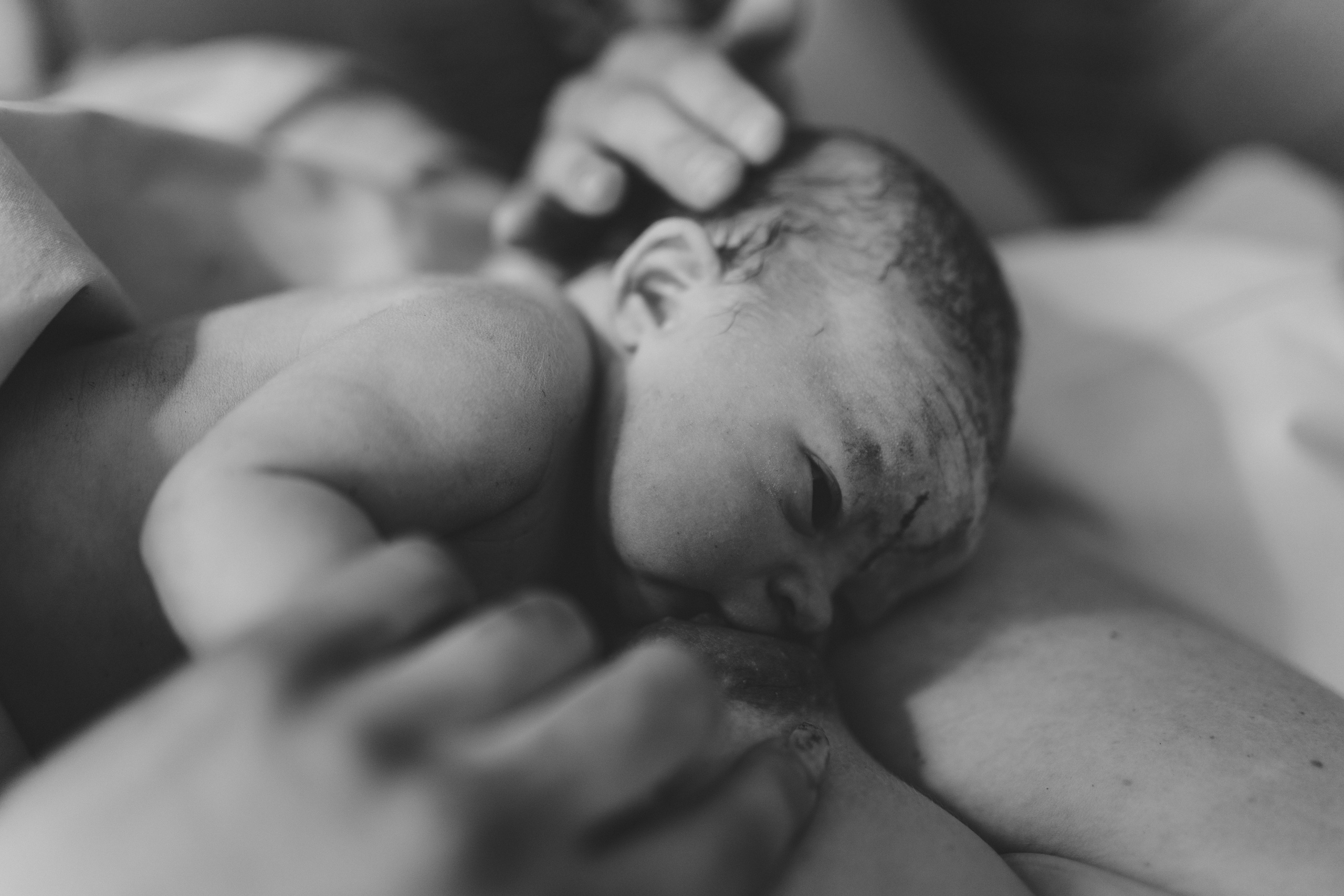 New Life. Maria Gogoleva — Family & Birth Photographer in Helsinki