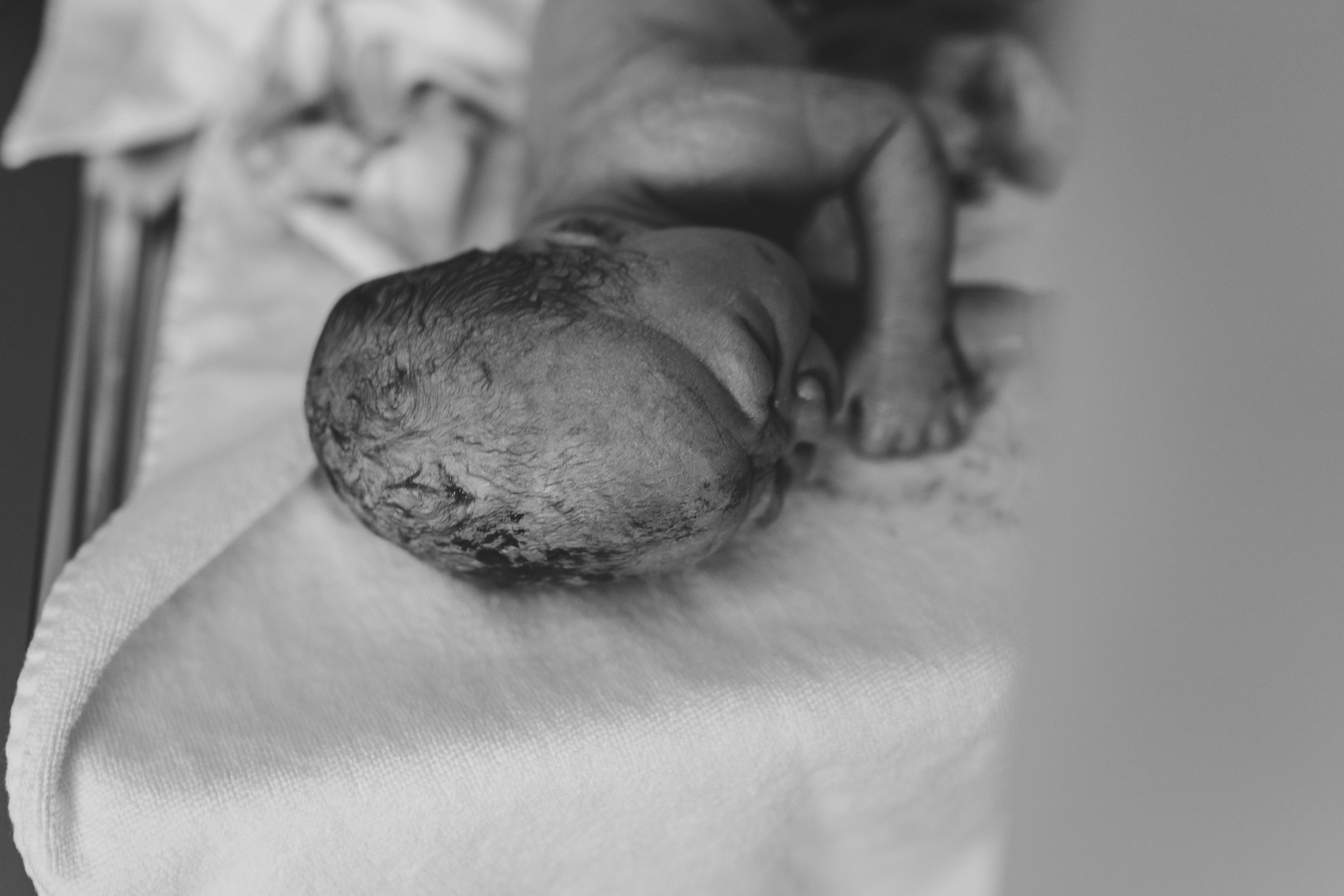 New Life. Maria Gogoleva — Family & Birth Photographer in Helsinki
