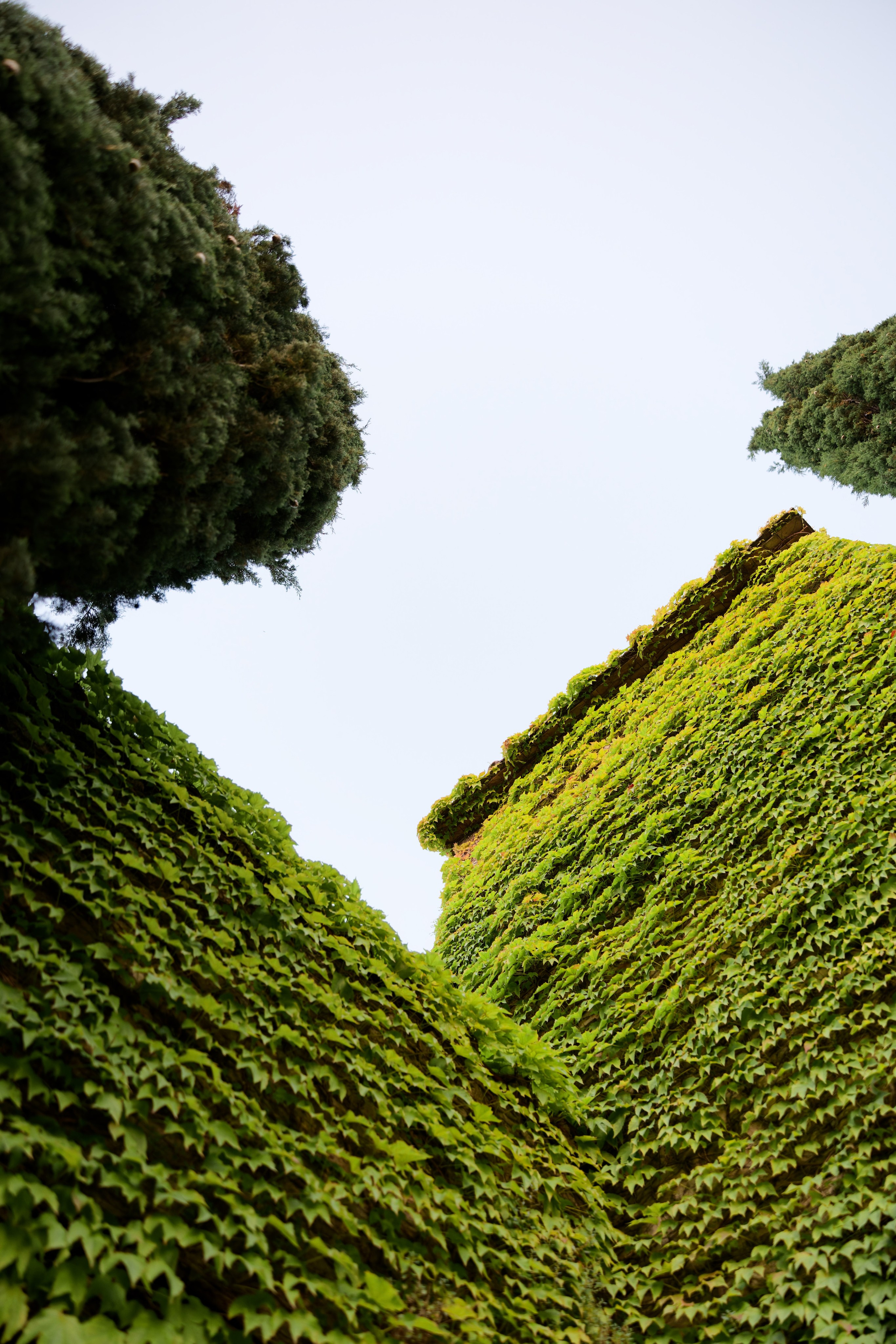 Wedding at Borgo Bastia Creti, Umbria